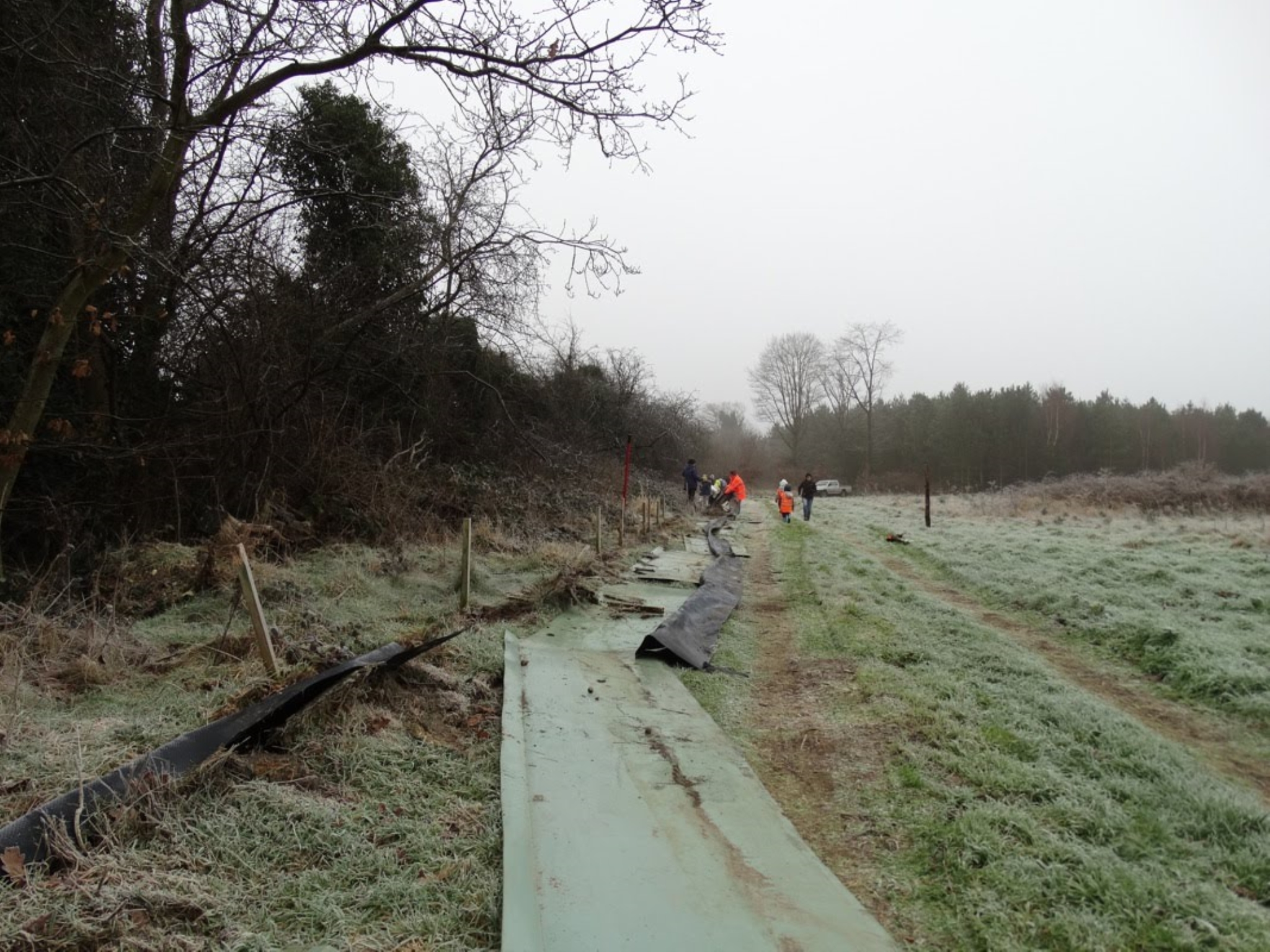 A photo from the FoTF Conservation Event - January 2018 - Erecting the Toad Fence at Cranwich : Sections of the fence lay down on the ground, with volunteers seen working in the far background
