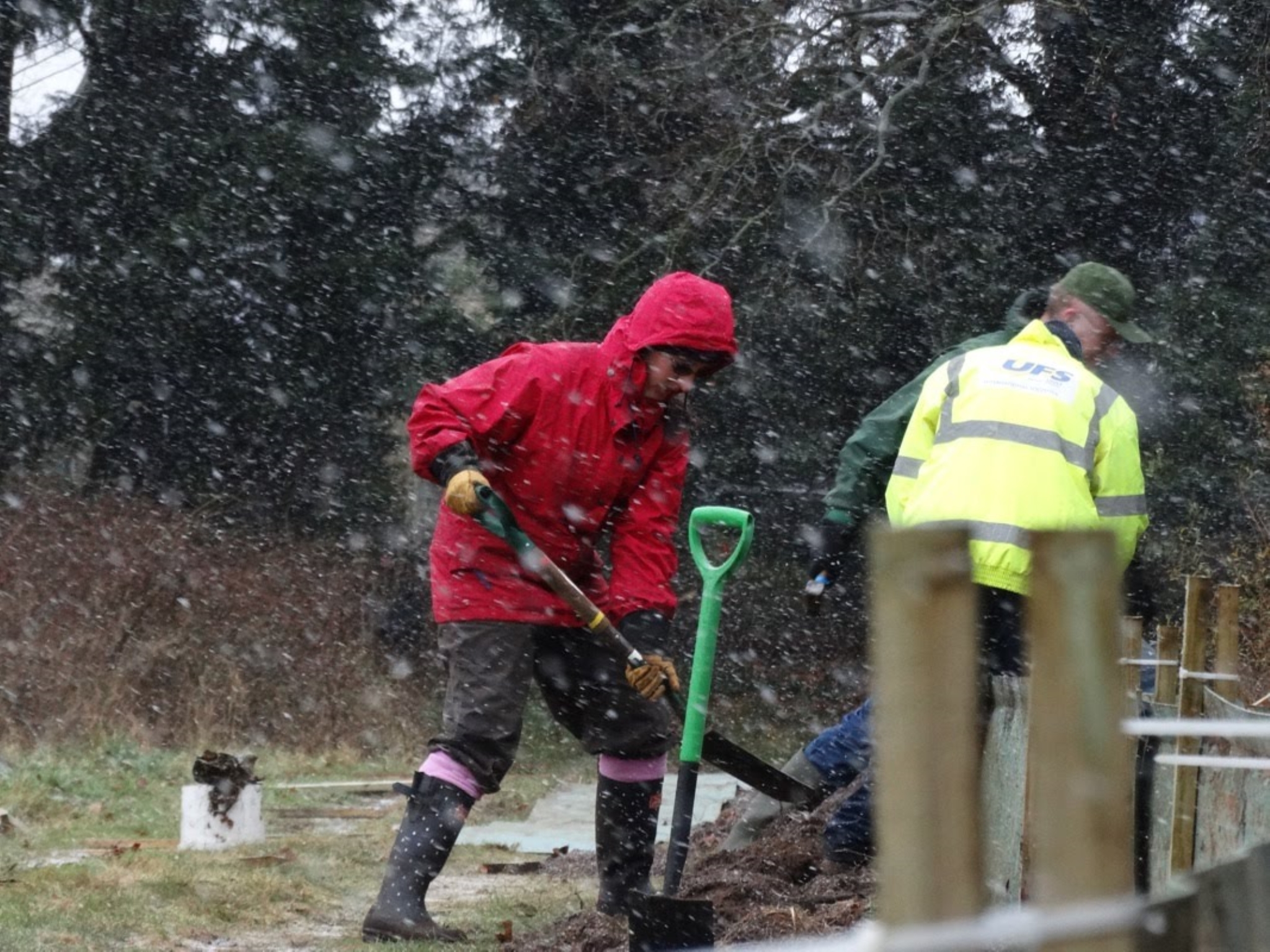 A photo from the FoTF Conservation Event - January 2018 - Erecting the Toad Fence at Cranwich : Erecting a section of the fence, as snow falls