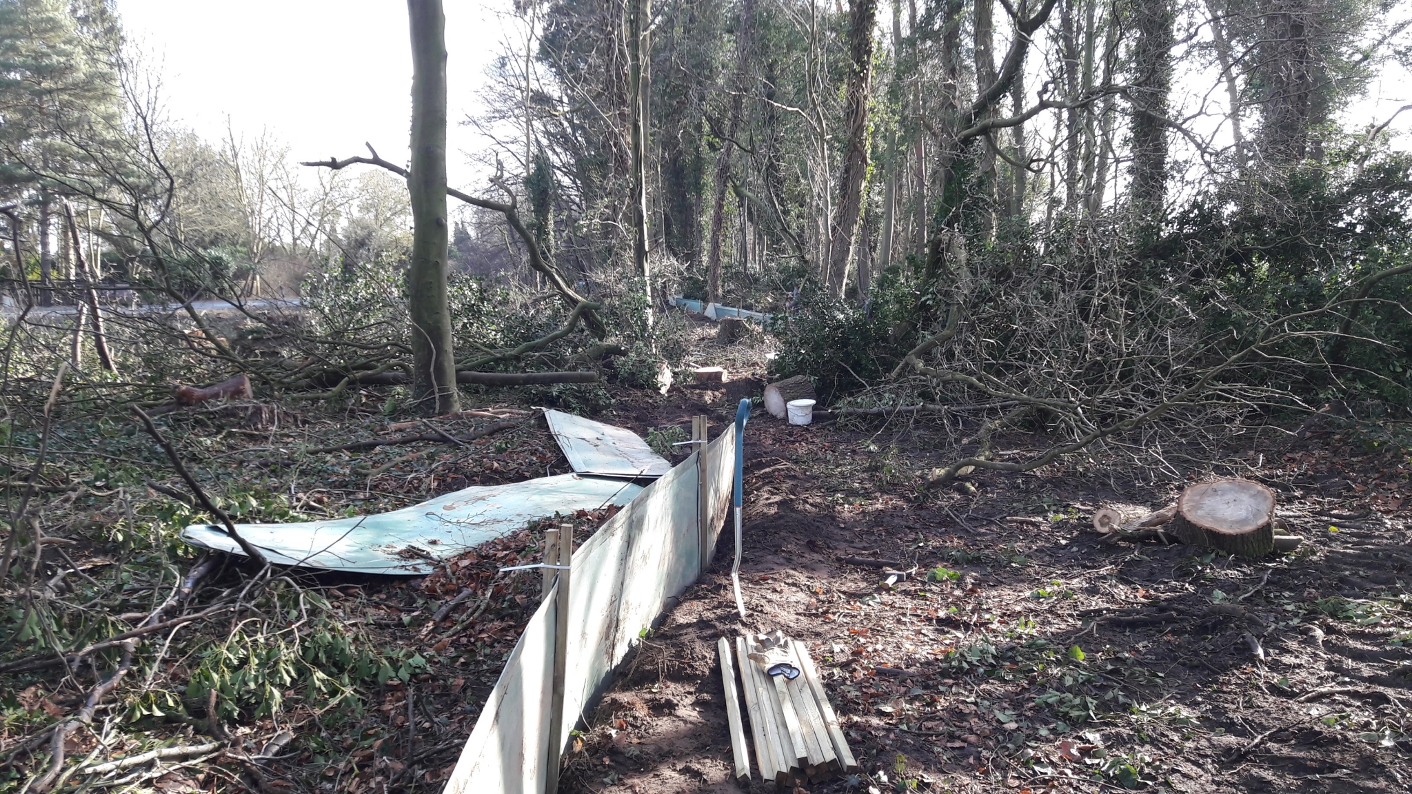 A photo from the FoTF Conservation Event - February 2018 - Erecting the Toad Fence at Cranwich : A section of partially erected fence