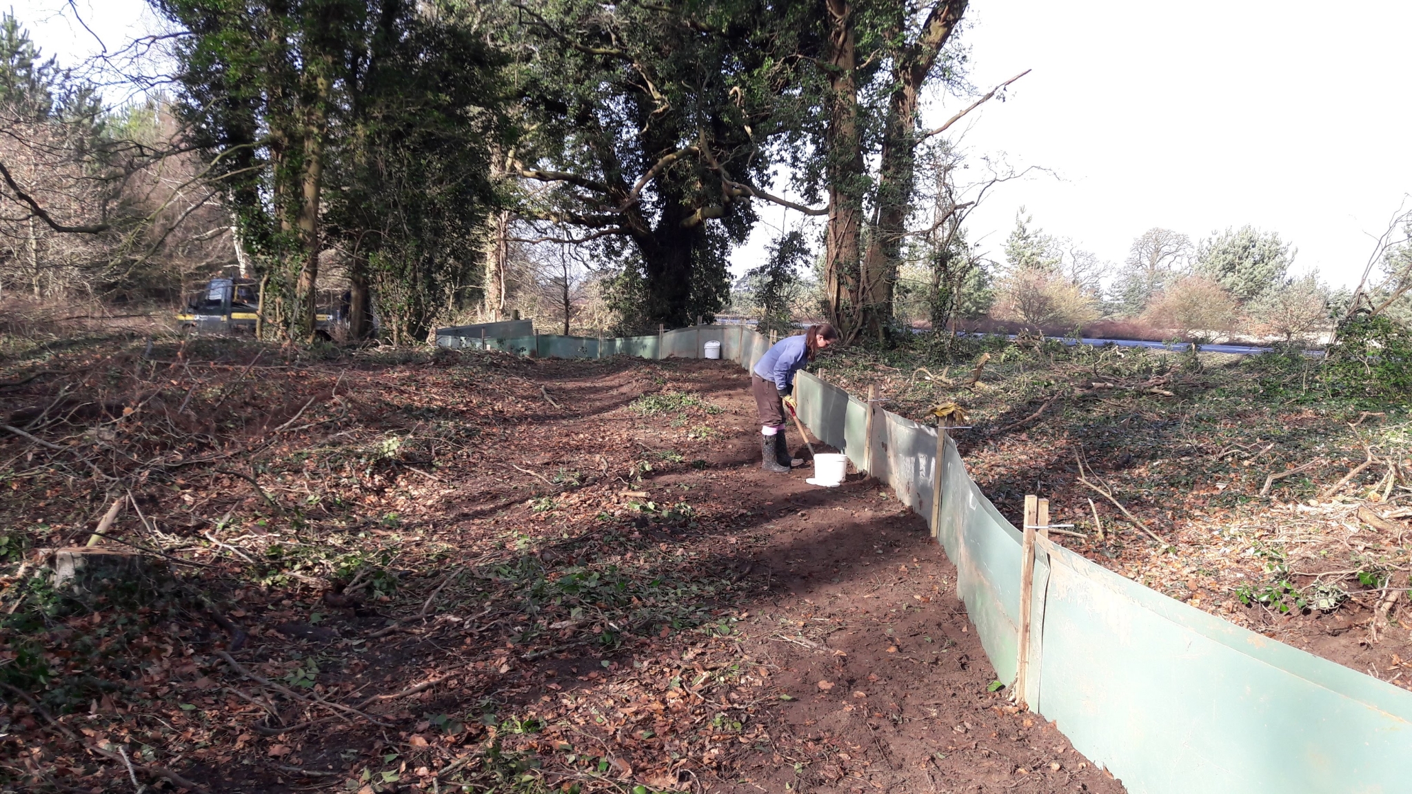 A photo from the FoTF Conservation Event - February 2018 - Erecting the Toad Fence at Cranwich : A section of erected fence, with a volunteer in the background checking the fence