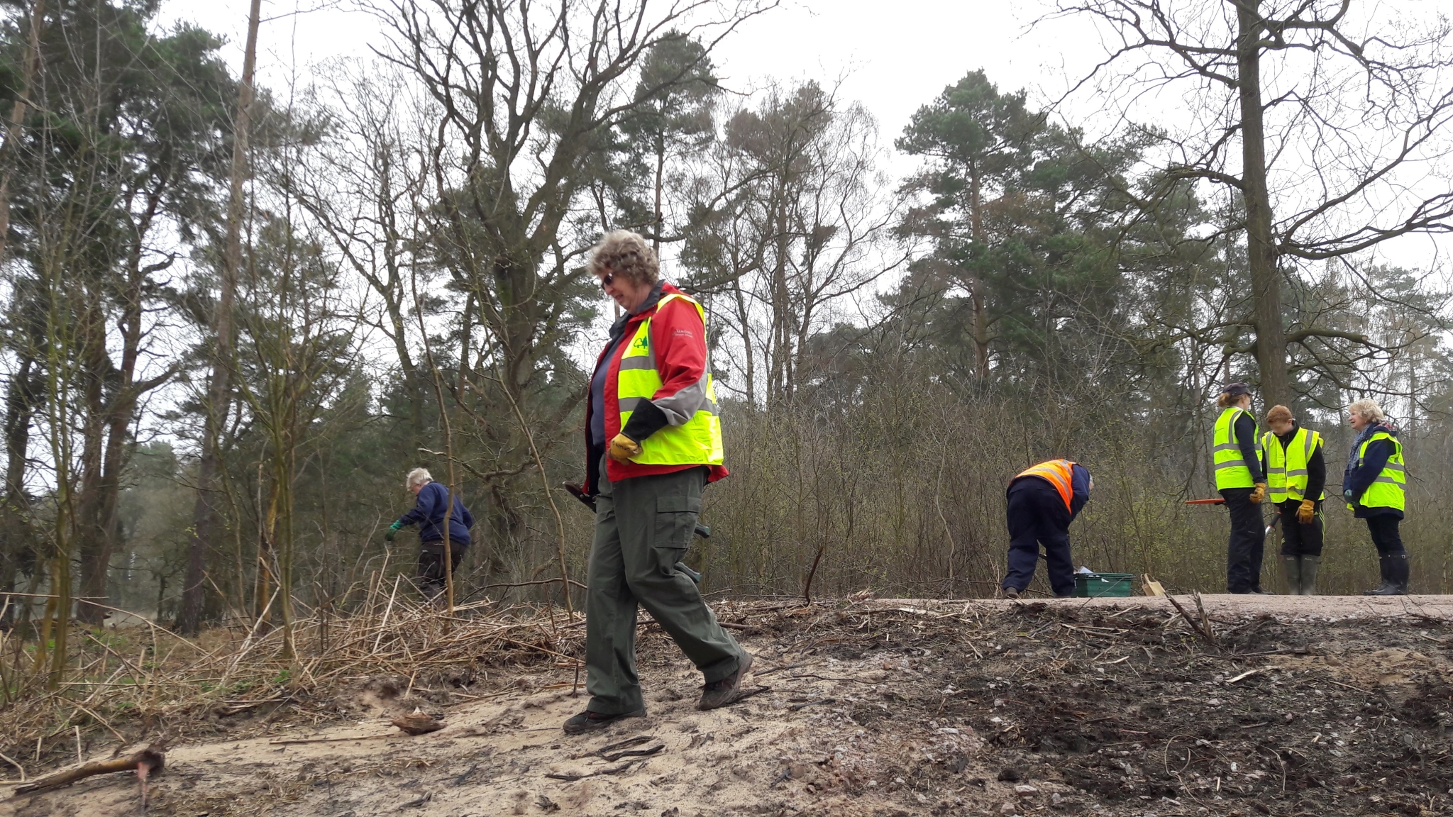 A photo from the FoTF Conservation Event - April 2018 - Improving habitat at High Lodge : A volunteer walks down a slope, with other volunteers working in background