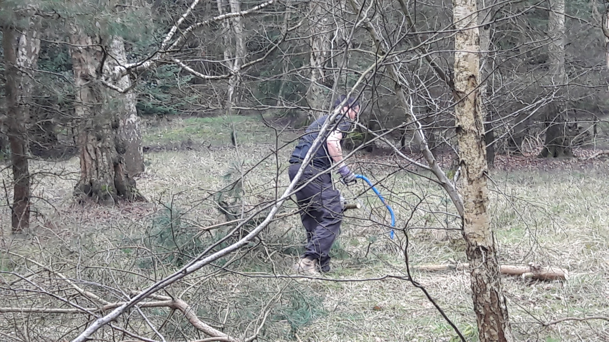 A photo from the FoTF Conservation Event - April 2018 - Improving habitat at High Lodge : A volunteer uses a saw on a small felled tree