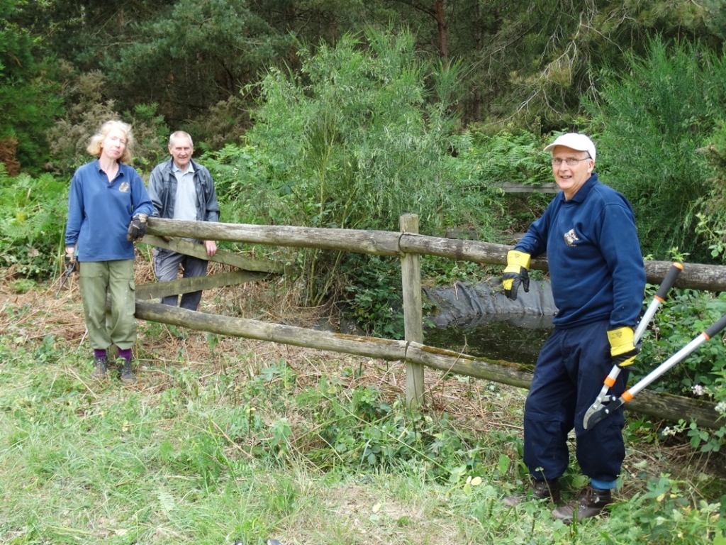 A photo from the FoTF Conservation Event - June 2018 - Clearance tasks around the Goshawk Trail : Volunteers lean against the pond fence