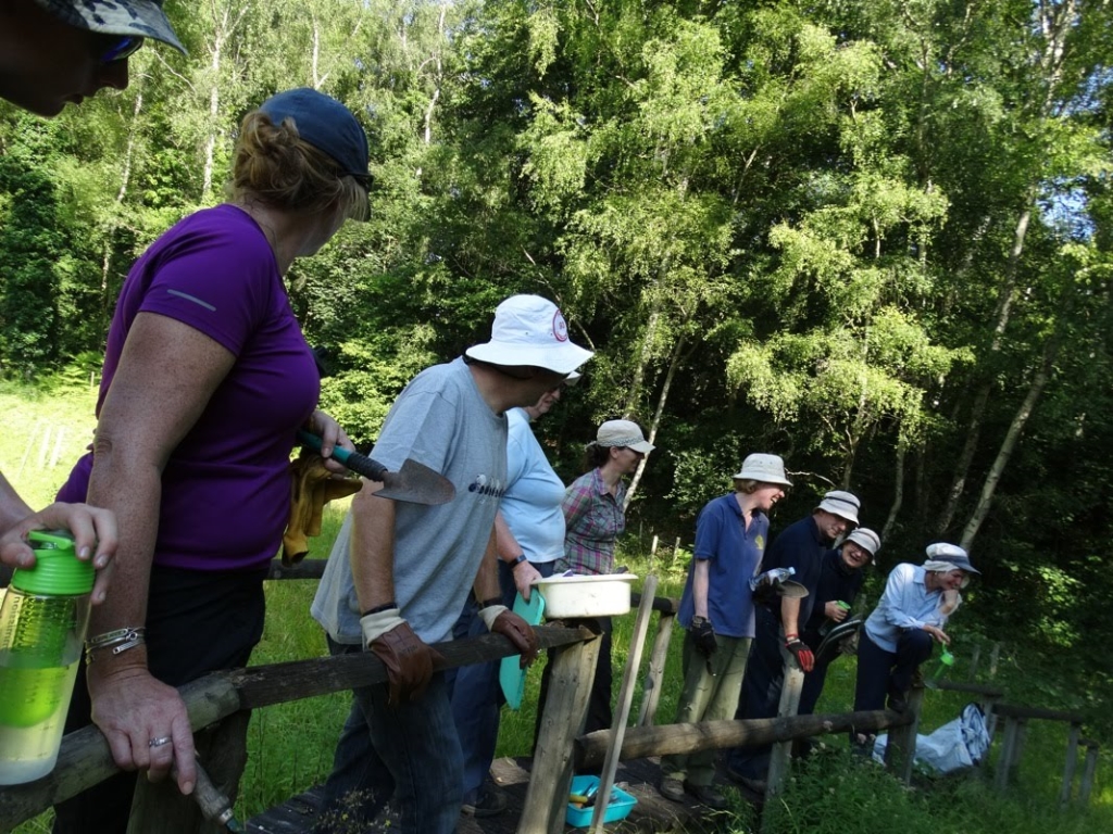 A photo from the FoTF Conservation Event - July 2018 - Rex Graham Reserve Annual Maintenance : Volunteers gather for a briefing