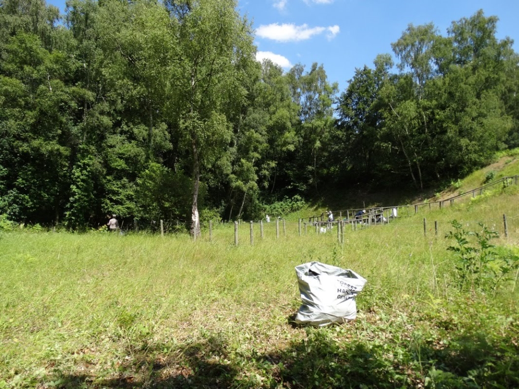 A photo from the FoTF Conservation Event - July 2018 - Rex Graham Reserve Annual Maintenance : A bag of weeds sits on the ground, volunteers work in the far background