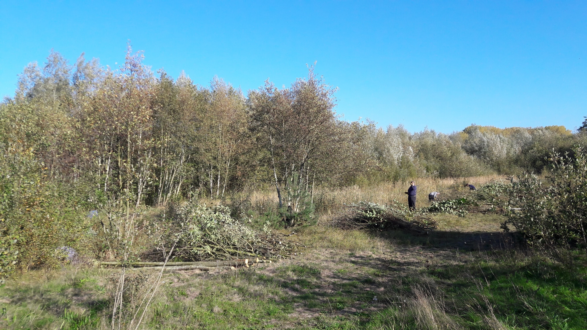 A photo from the FoTF Conservation Event - October 2018 - Undetaking clearance at the Lynford Lake Waters Edge : The team at work at the waters edge of Lynford Lake