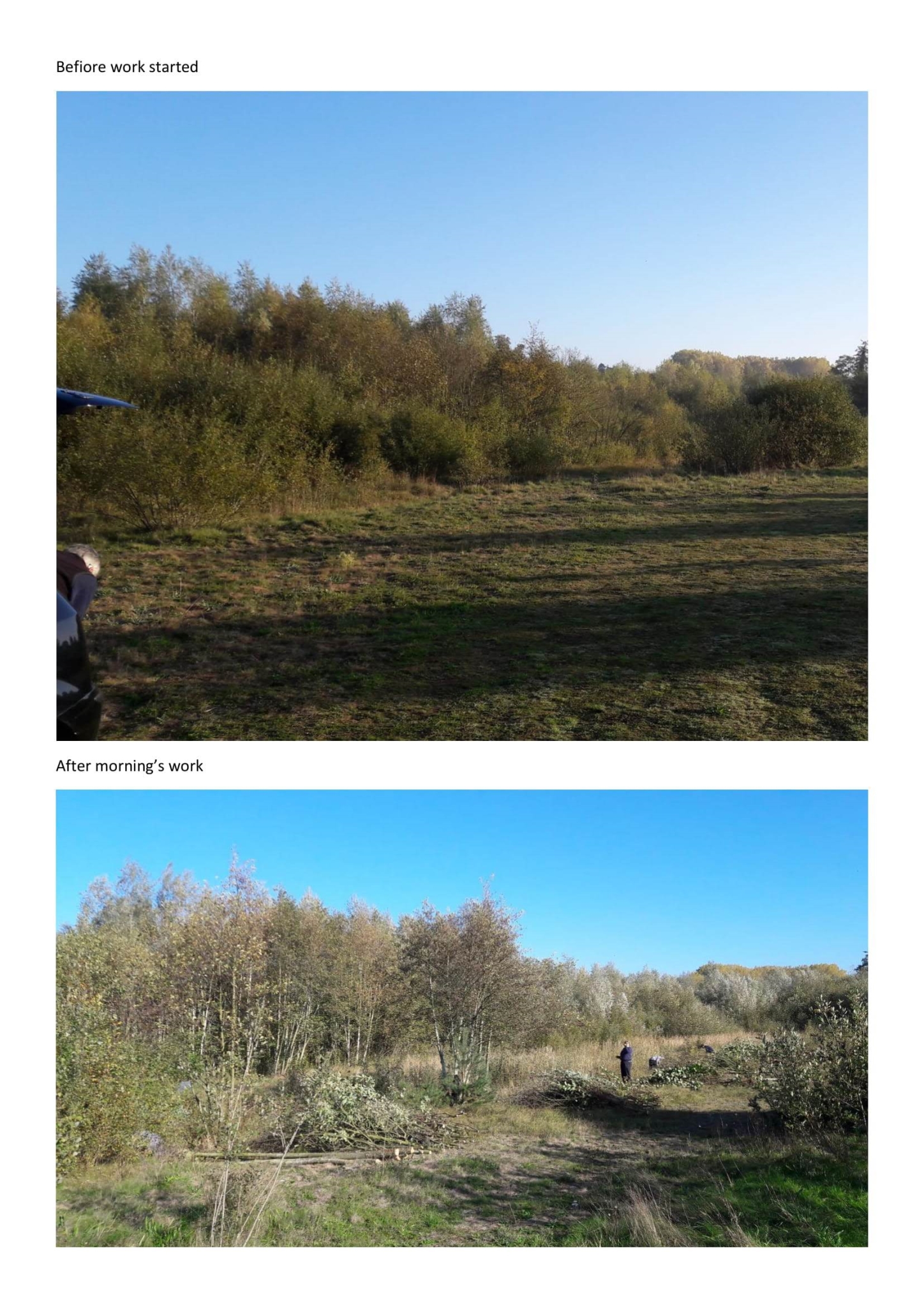 A photo from the FoTF Conservation Event - October 2018 - Undetaking clearance at the Lynford Lake Waters Edge : A before and afer shot from the FoTF Conservation Group October 2018 event