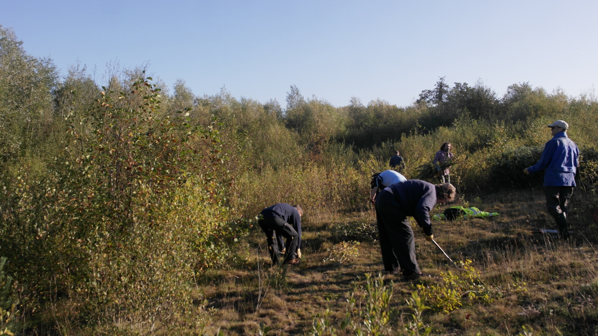 A photo from the FoTF Conservation Event - October 2018 - Undetaking clearance at the Lynford Lake Waters Edge : The team at work at the waters edge of Lynford Lake