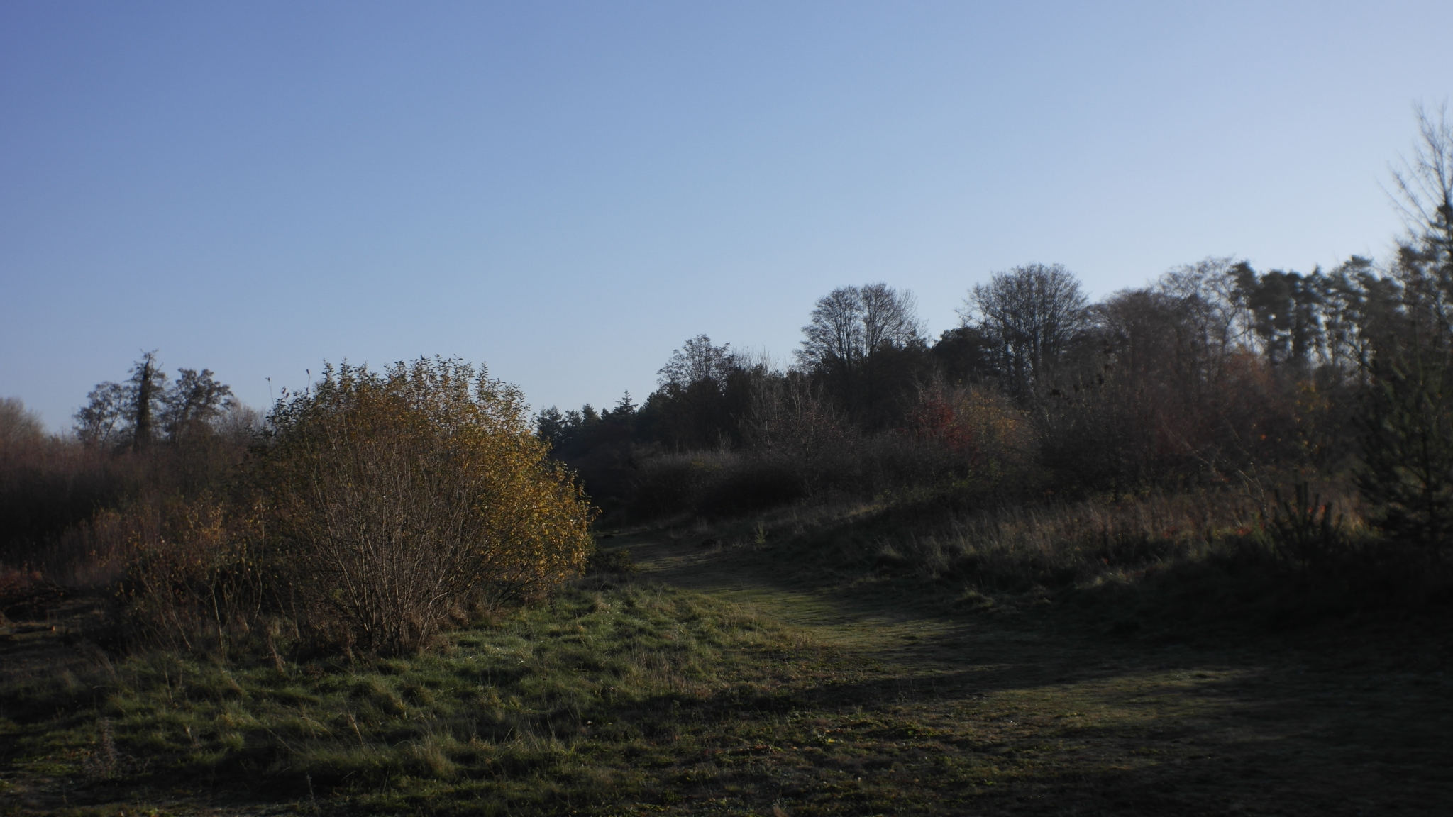 A photo from the FoTF Conservation Event - November 2018 - Undetaking clearance at the Lynford Lake Waters Edge : A shot of the vista from the waters edge at Lynford Lake