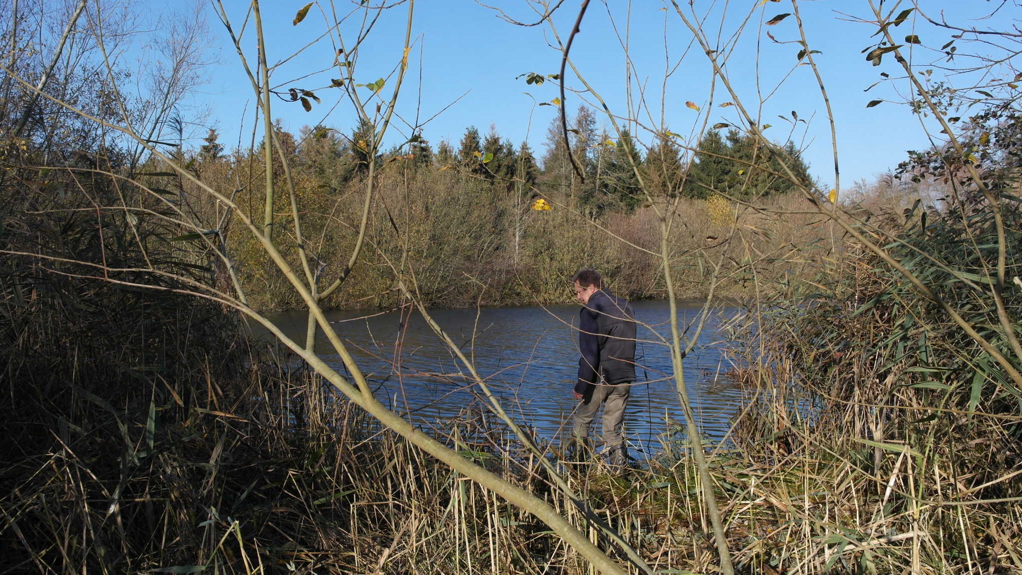 A photo from the FoTF Conservation Event - November 2018 - Undetaking clearance at the Lynford Lake Waters Edge : The team at work at the waters edge of Lynford Lake