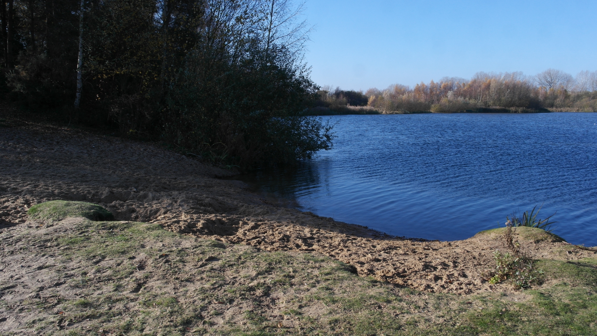 A photo from the FoTF Conservation Event - November 2018 - Undetaking clearance at the Lynford Lake Waters Edge : A shot of Lynford Lake
