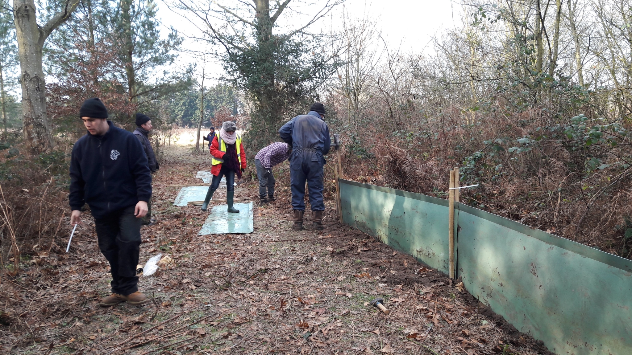 A photo from the FoTF Conservation Event - January 2019 - Erecting the Toad Fence at Cranwich : Erecting a section of the fence