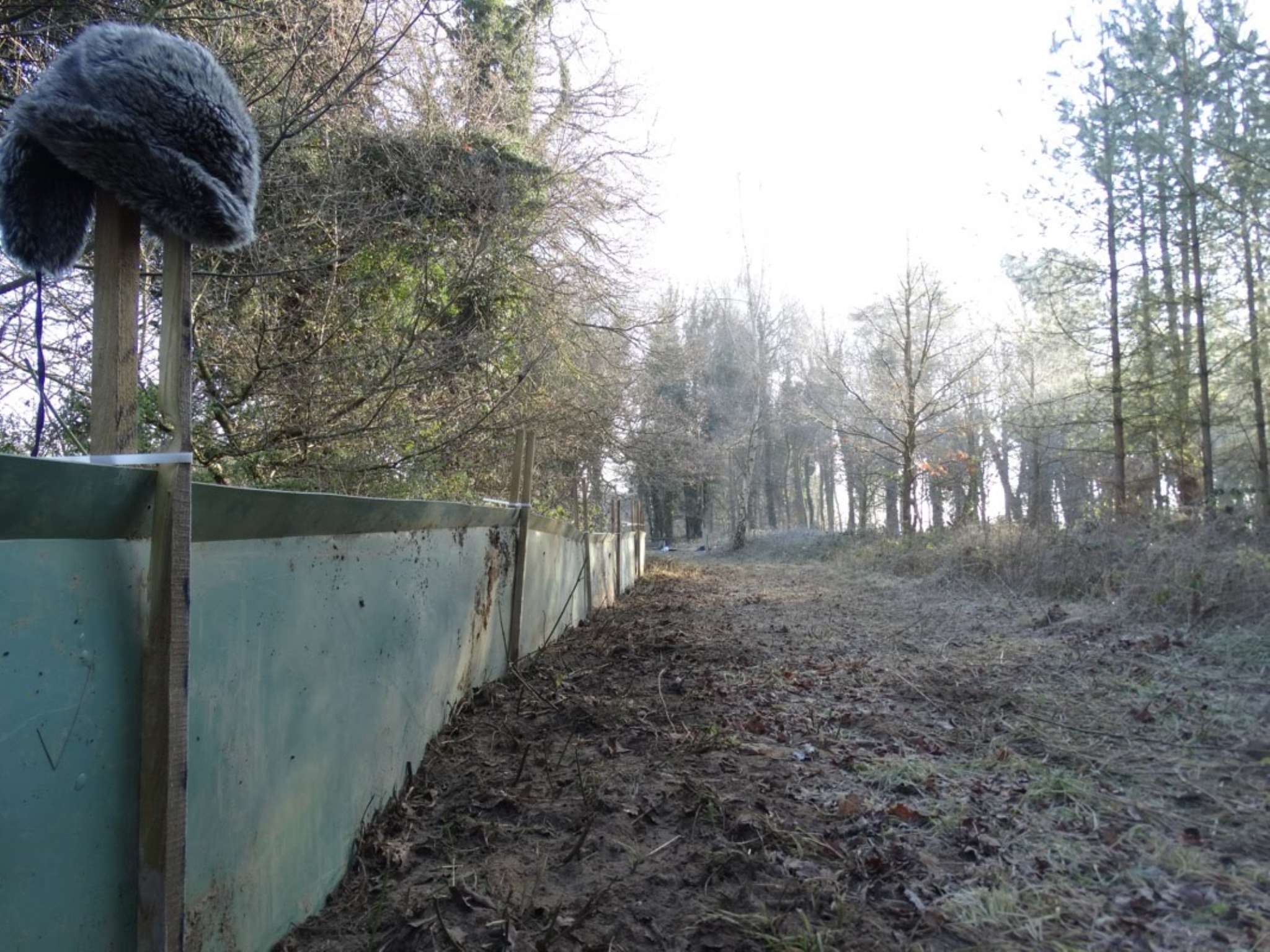 A photo from the FoTF Conservation Event - January 2019 - Erecting the Toad Fence at Cranwich : A section of the erected fence