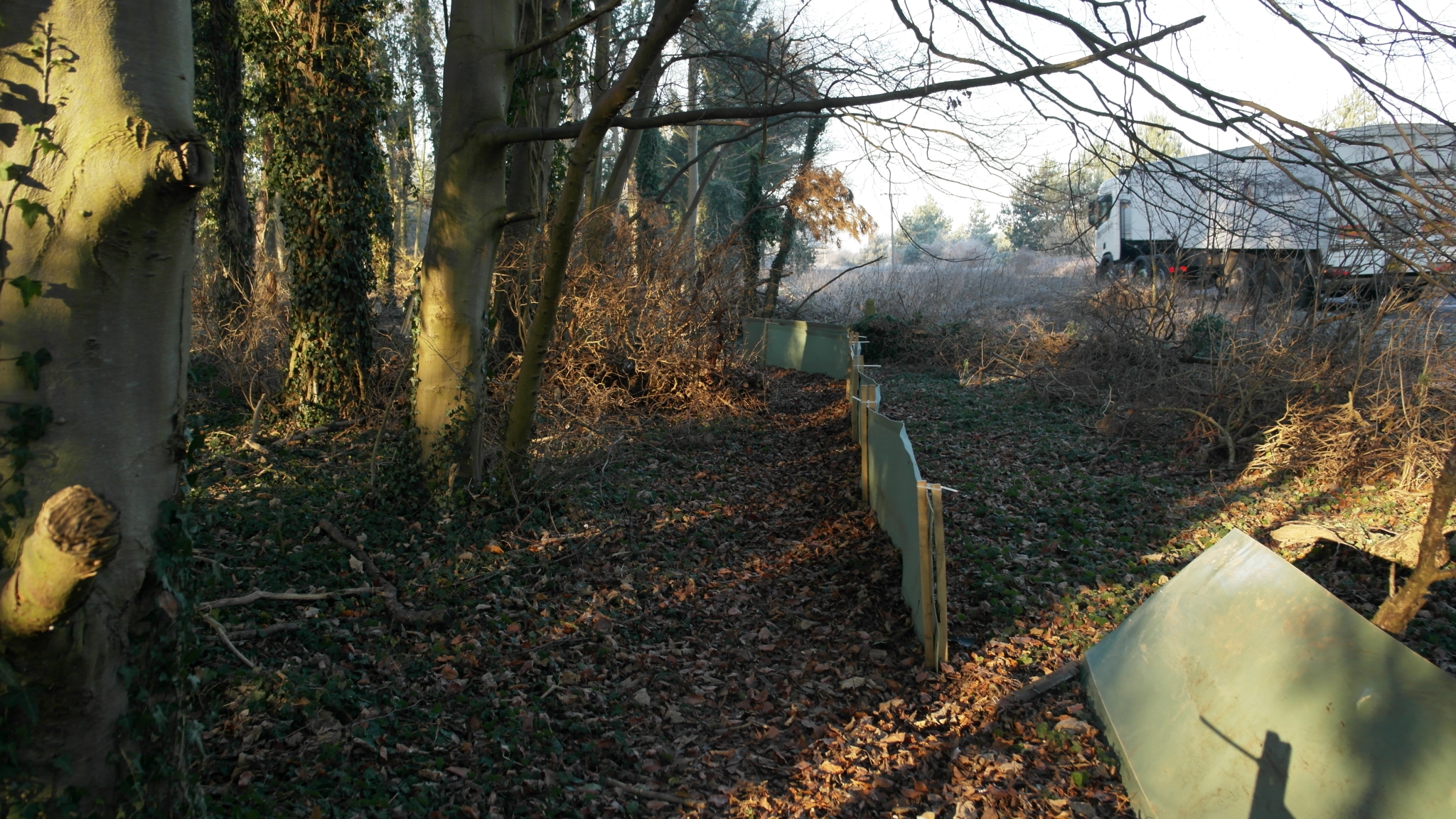 A photo from the FoTF Conservation Event - January 2019 - Erecting the Toad Fence at Cranwich : A section of the erected fence