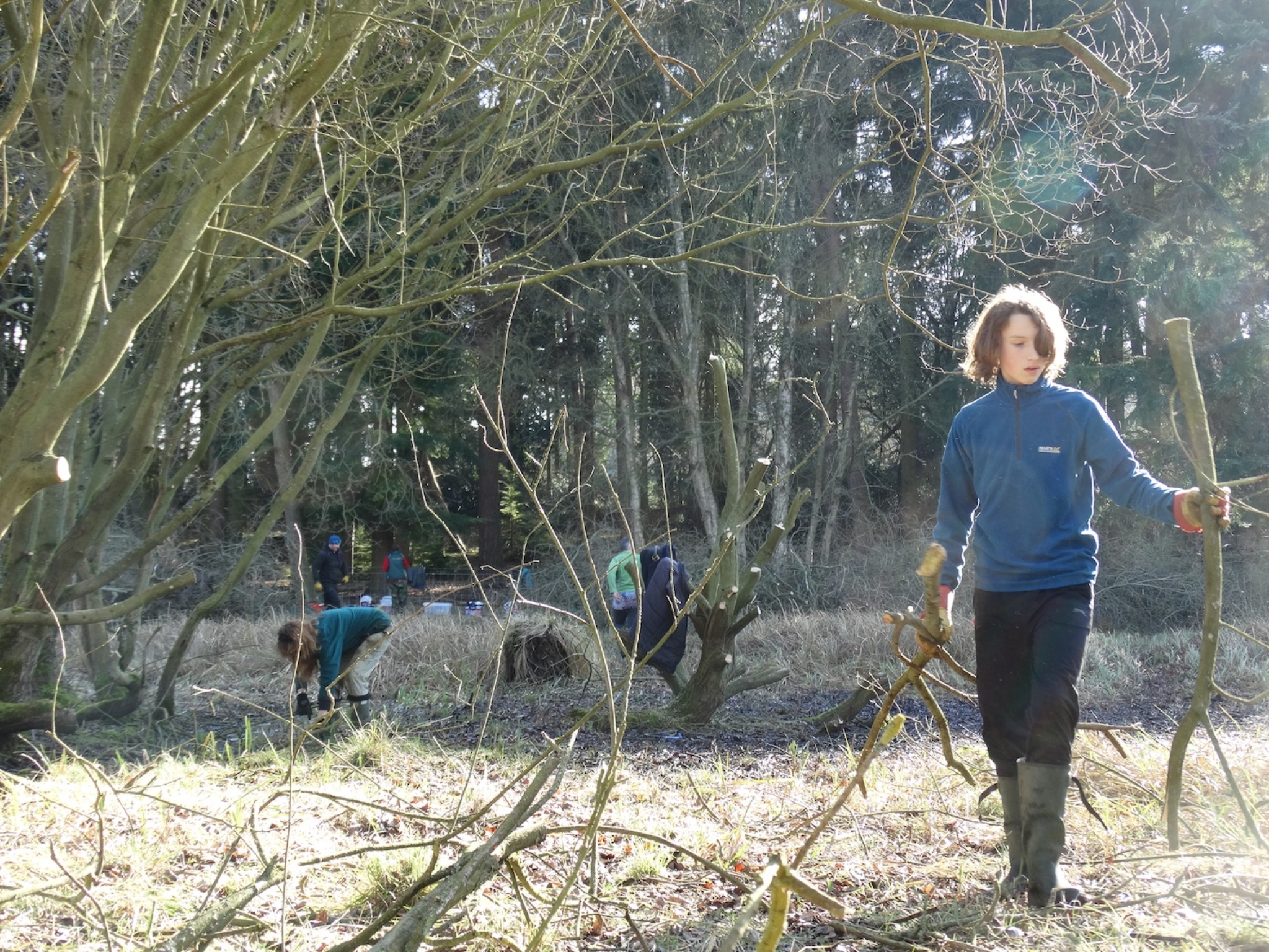 A photo from the FoTF Conservation Event - February 2019 - Encroaching Willow clearance at the Float Meadow at Lynford : Volunteers working on the meadow clearing willow