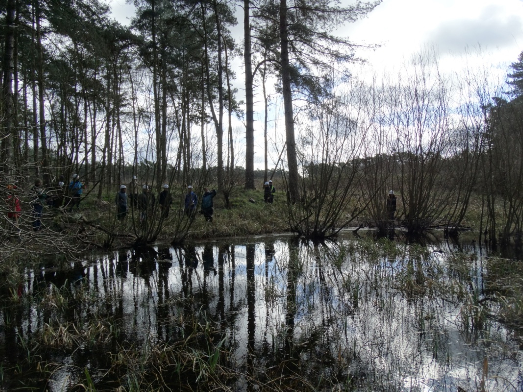 A photo from the FoTF Conservation Event - March 2019 - Clearance work around, and in, the ponds at Harling Woods, Harling : The volunteers gather at the edge of one of the ponds