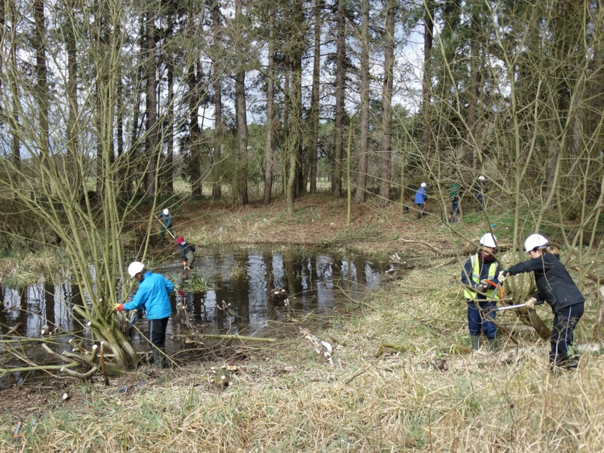 A photo from the FoTF Conservation Event - March 2019 - Clearance work around, and in, the ponds at Harling Woods, Harling : Volunteers working on the edge of one of the ponds