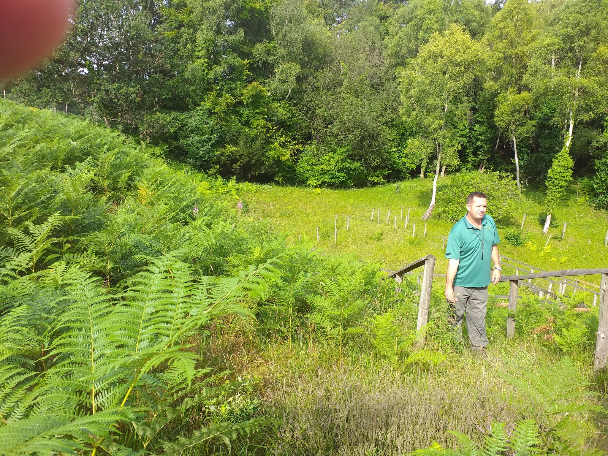A photo from the FoTF Conservation Event - July 2019 - Weeding at Rex Graham Reserve : The Forestry Commission lead gives a briefing