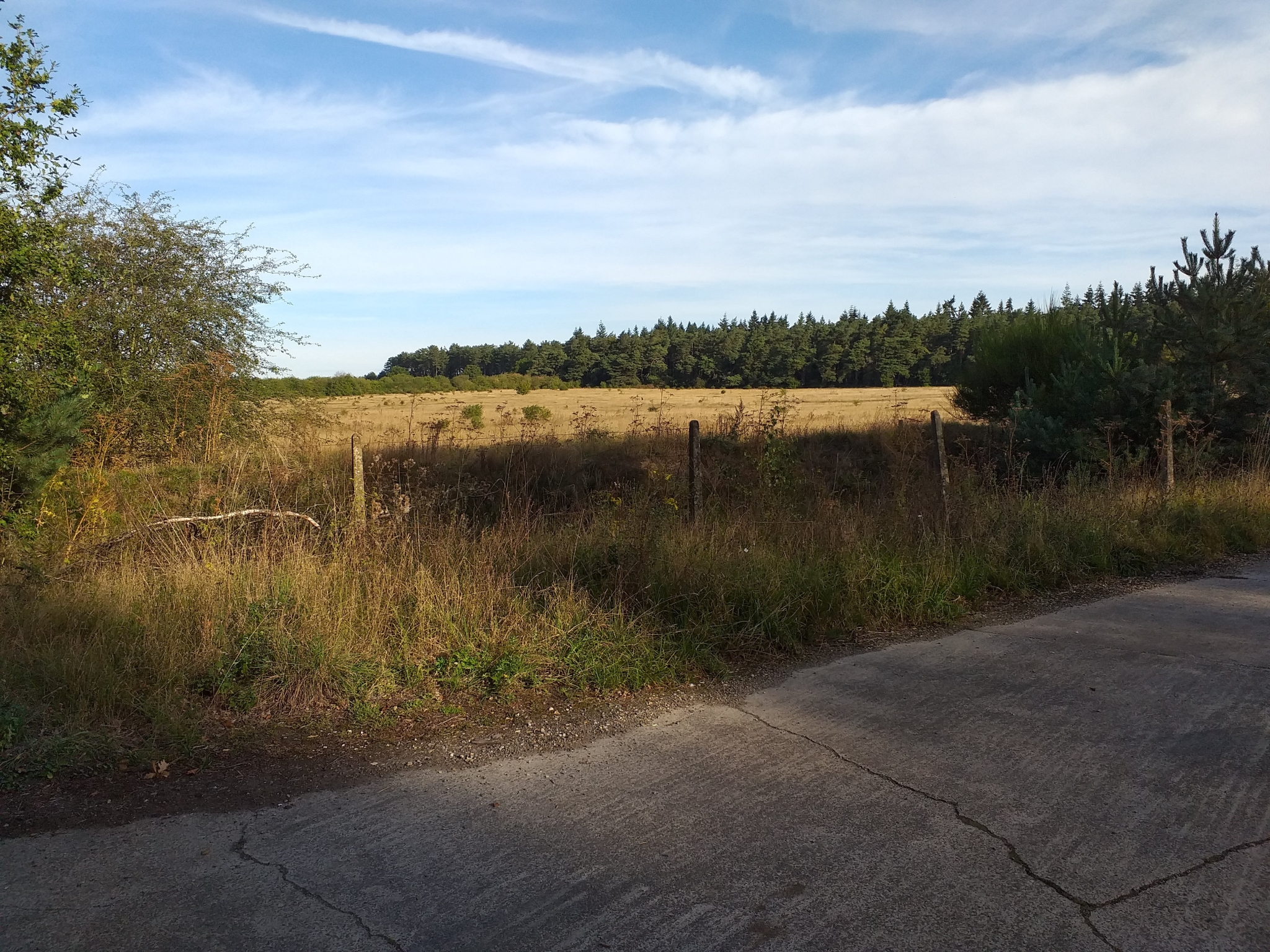 A photo from the FoTF Conservation Event - September 2019 - Scrub Clearance at Cranwich Camp : A view looking out from Cranwich Camp