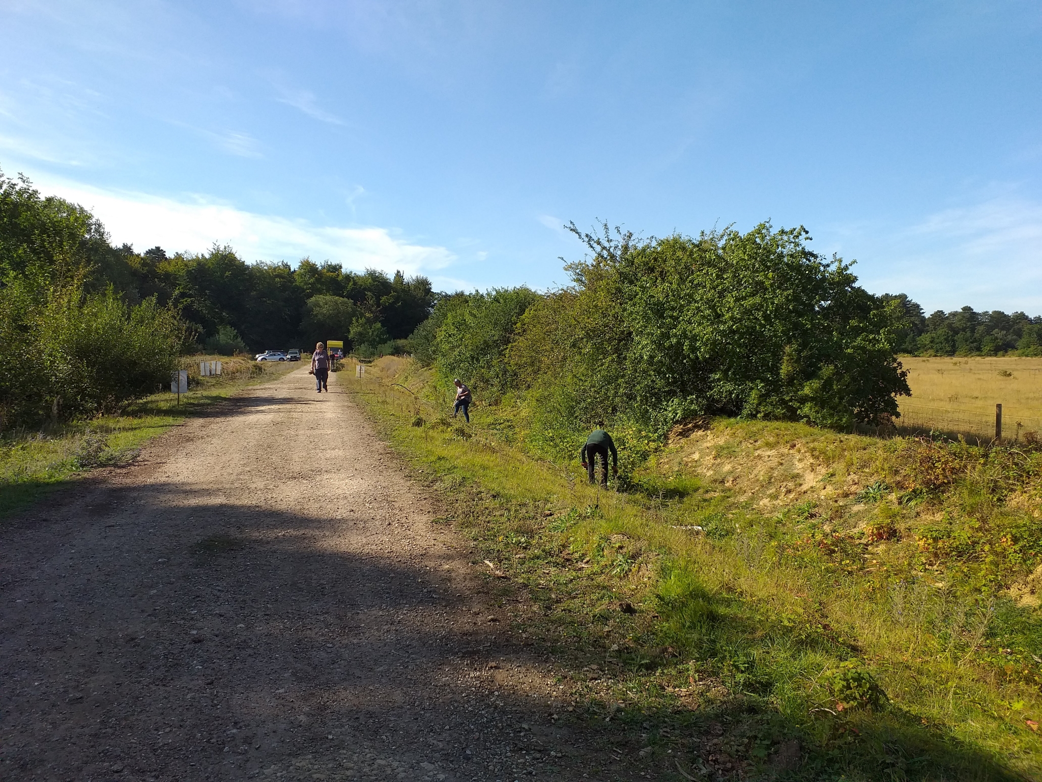 A photo from the FoTF Conservation Event - September 2019 - Scrub Clearance at Cranwich Camp : Volunteers work to clear the scrub alongside unmade road
