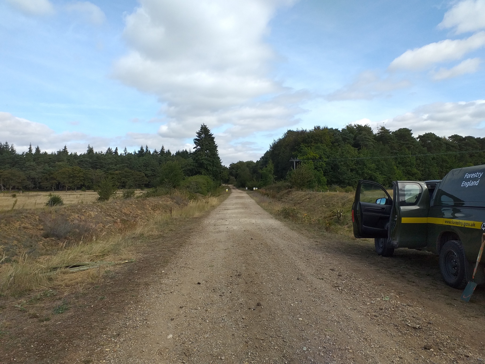 A photo from the FoTF Conservation Event - September 2019 - Scrub Clearance at Cranwich Camp : A view looking into Cranwich Camp