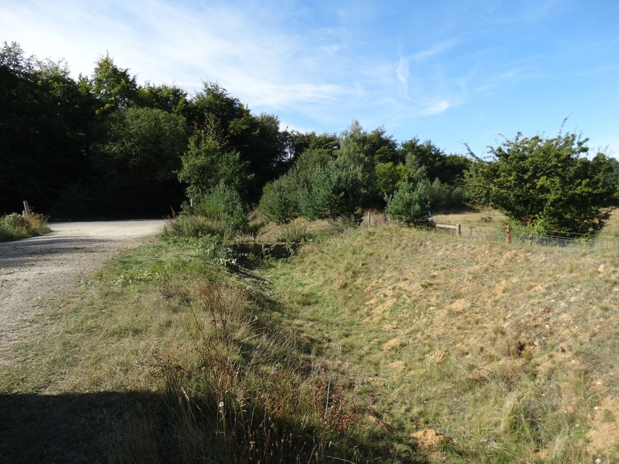 A photo from the FoTF Conservation Event - September 2019 - Scrub Clearance at Cranwich Camp : A view along the ditch