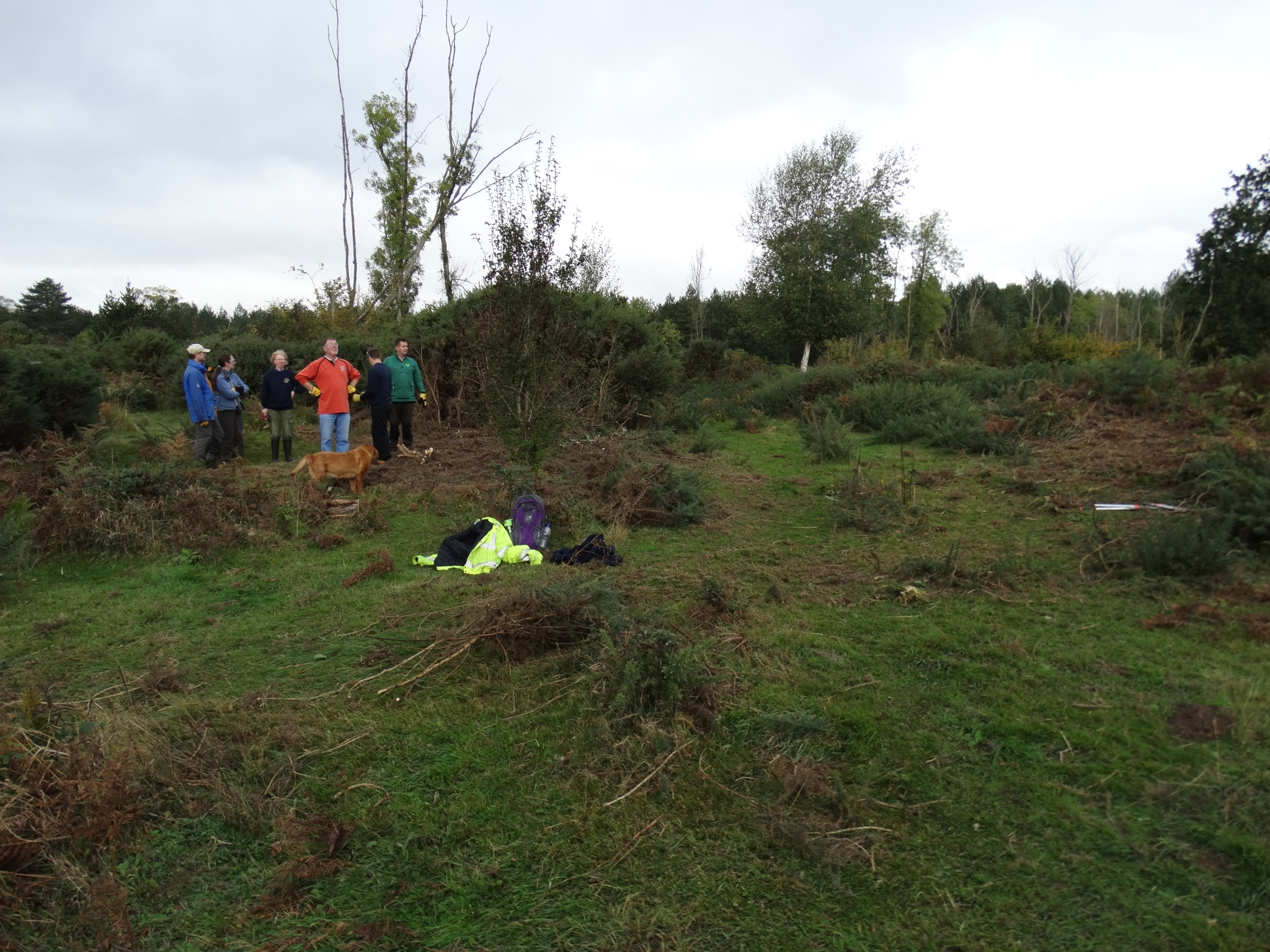A photo from the FoTF Conservation Event - October 2019 - Gorse Clearance at Hockham Hills & Holes : An area cleared by the volunteers