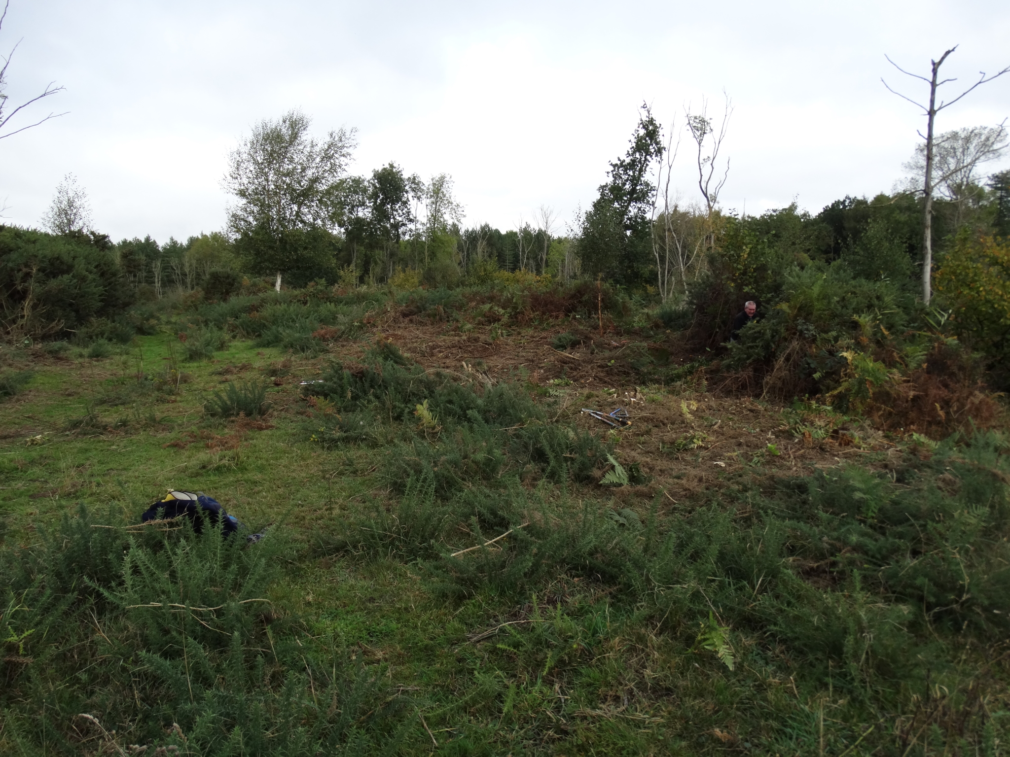 A photo from the FoTF Conservation Event - October 2019 - Gorse Clearance at Hockham Hills & Holes : A view across Hockham Hills and Holes