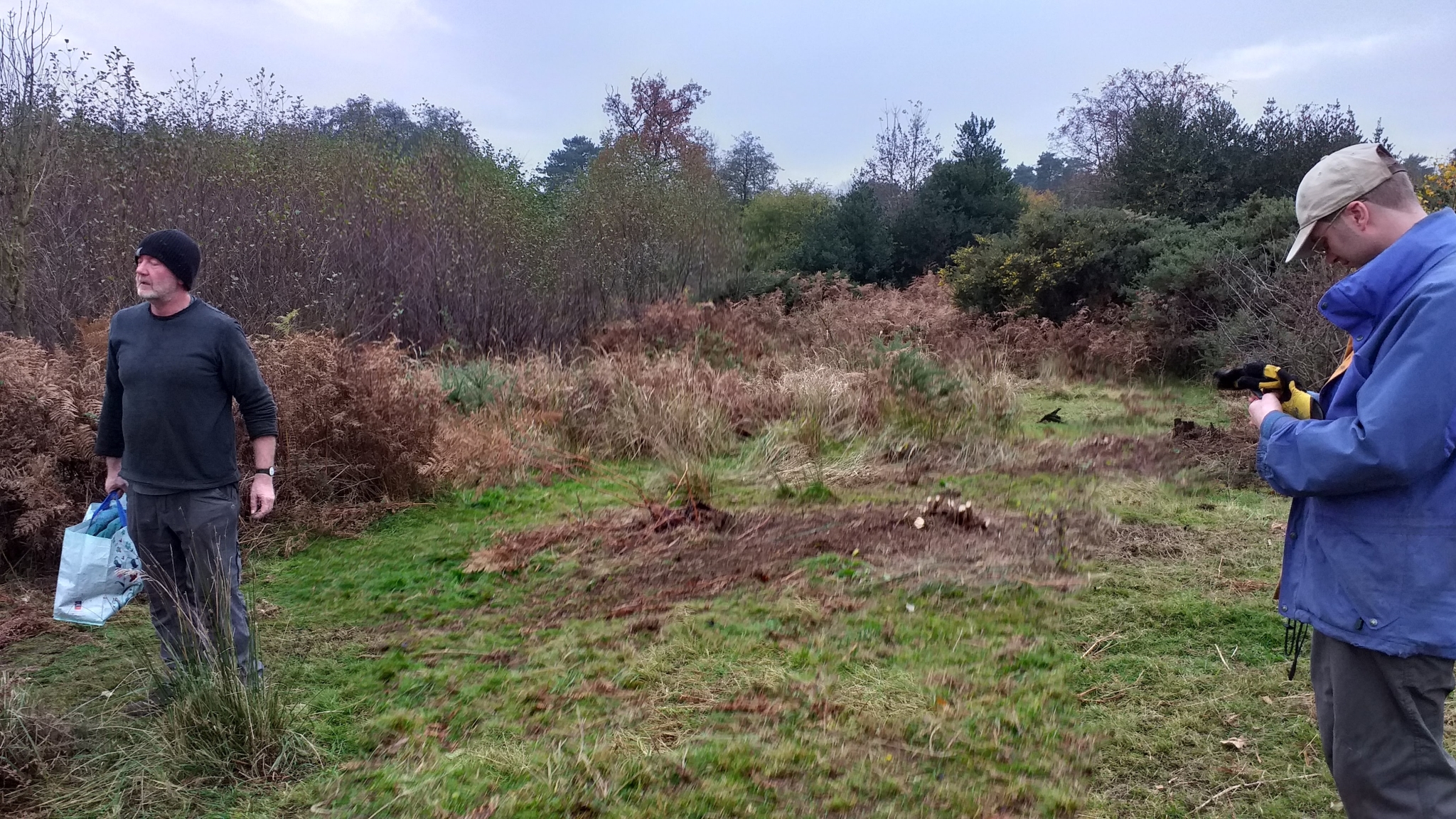 A photo from the FoTF Conservation Event - November 2019 - Gorse Clearance at Hockham Hills & Holes : Volunteers at the work site