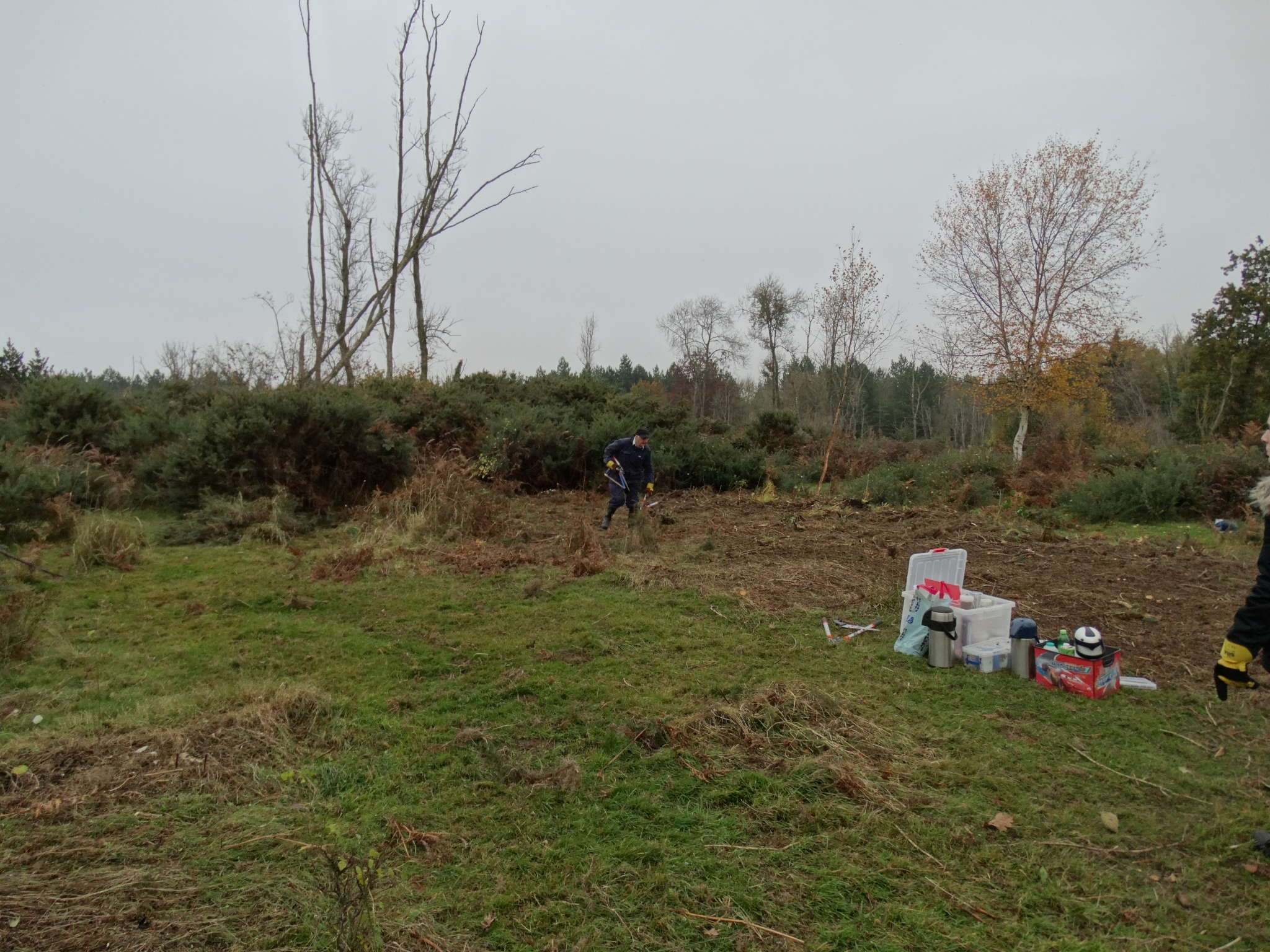 A photo from the FoTF Conservation Event - November 2019 - Gorse Clearance at Hockham Hills & Holes : A volunteers collects the tools
