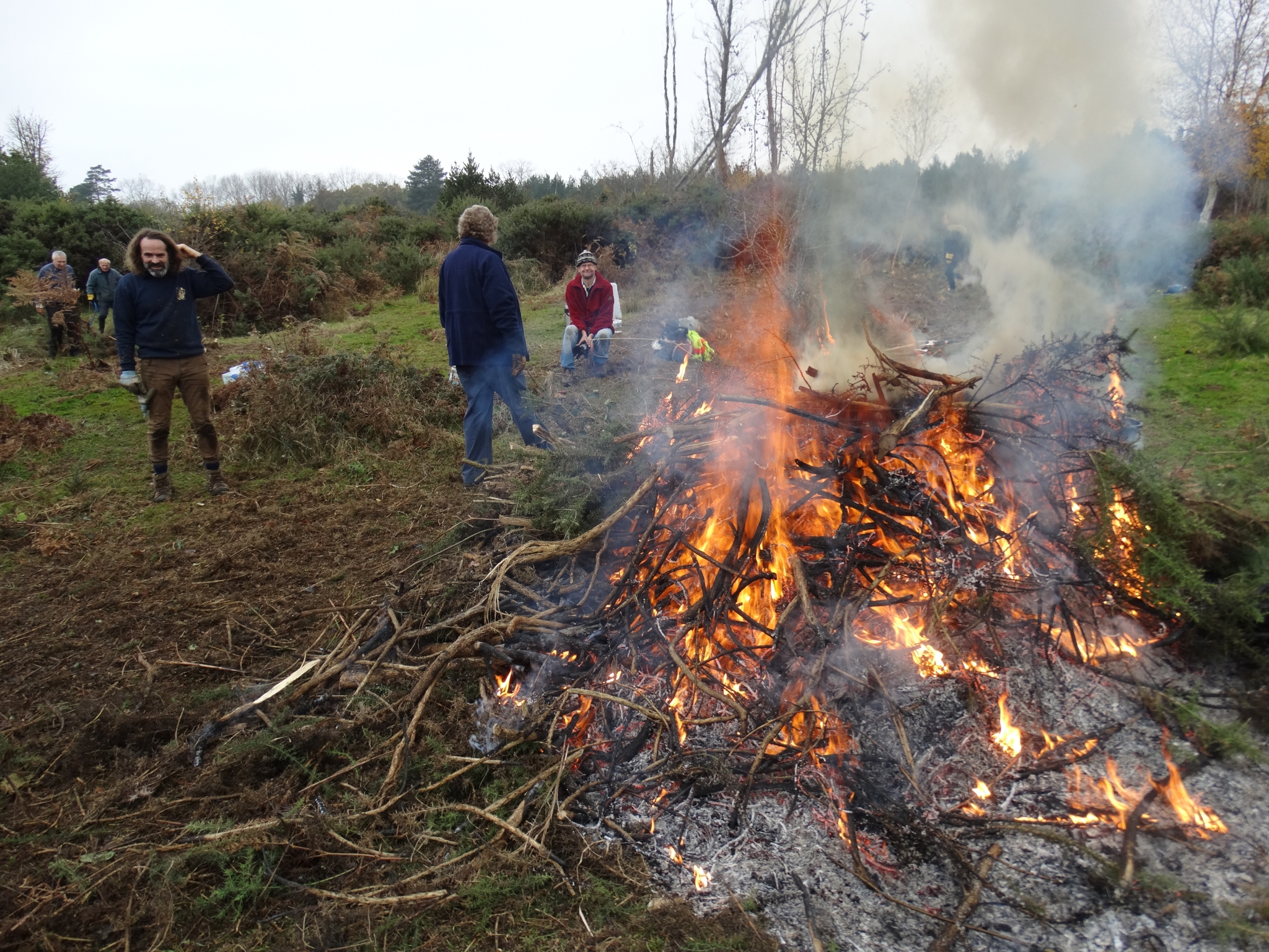 A photo from the FoTF Conservation Event - November 2019 - Gorse Clearance at Hockham Hills & Holes : Gorse burns on the fire