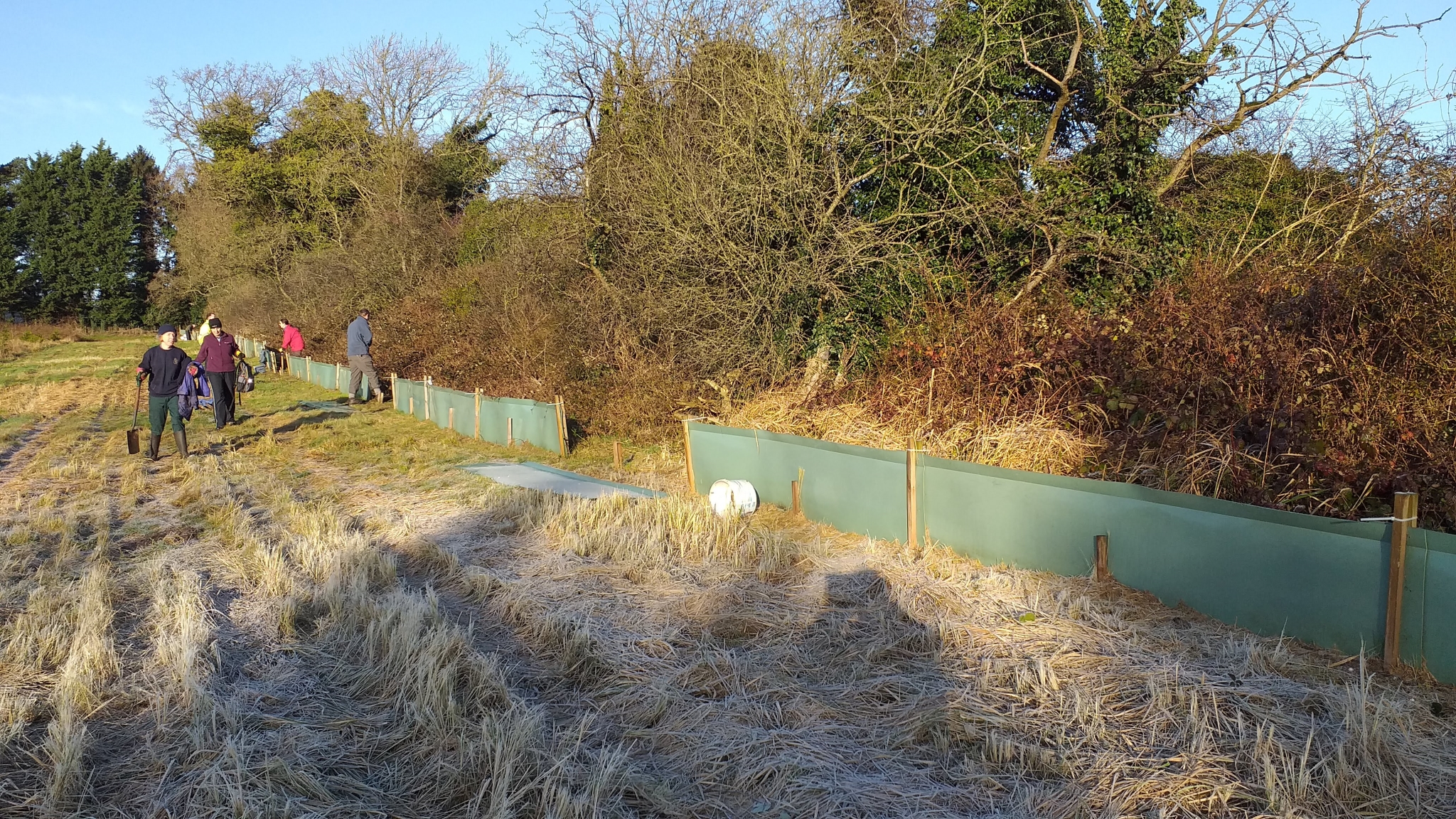 A photo from the FoTF Conservation Event - January 2020 - Erecting the Toad Fence at Cranwich : A section of the erected fence