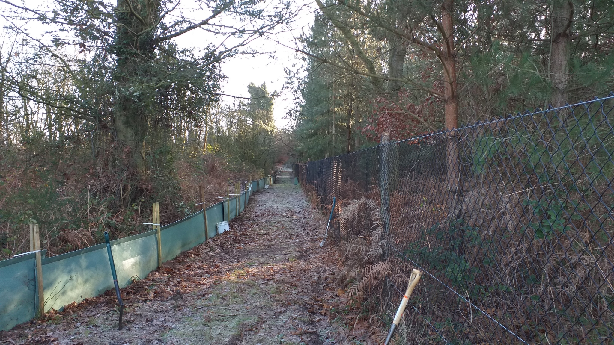 A photo from the FoTF Conservation Event - January 2020 - Erecting the Toad Fence at Cranwich : Erecting a section of the fence