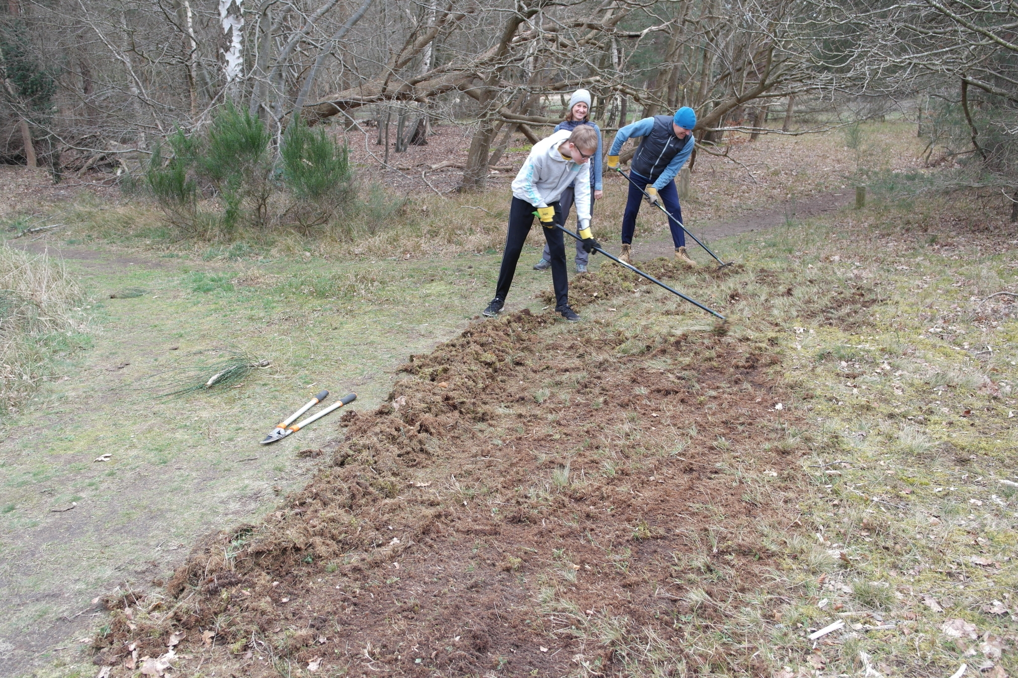 A photo from the FoTF Conservation Event - March 2020 - Habitat Improvement at Quakers Walk, Mildenhall Woods : Volunteers at work improving the habitat