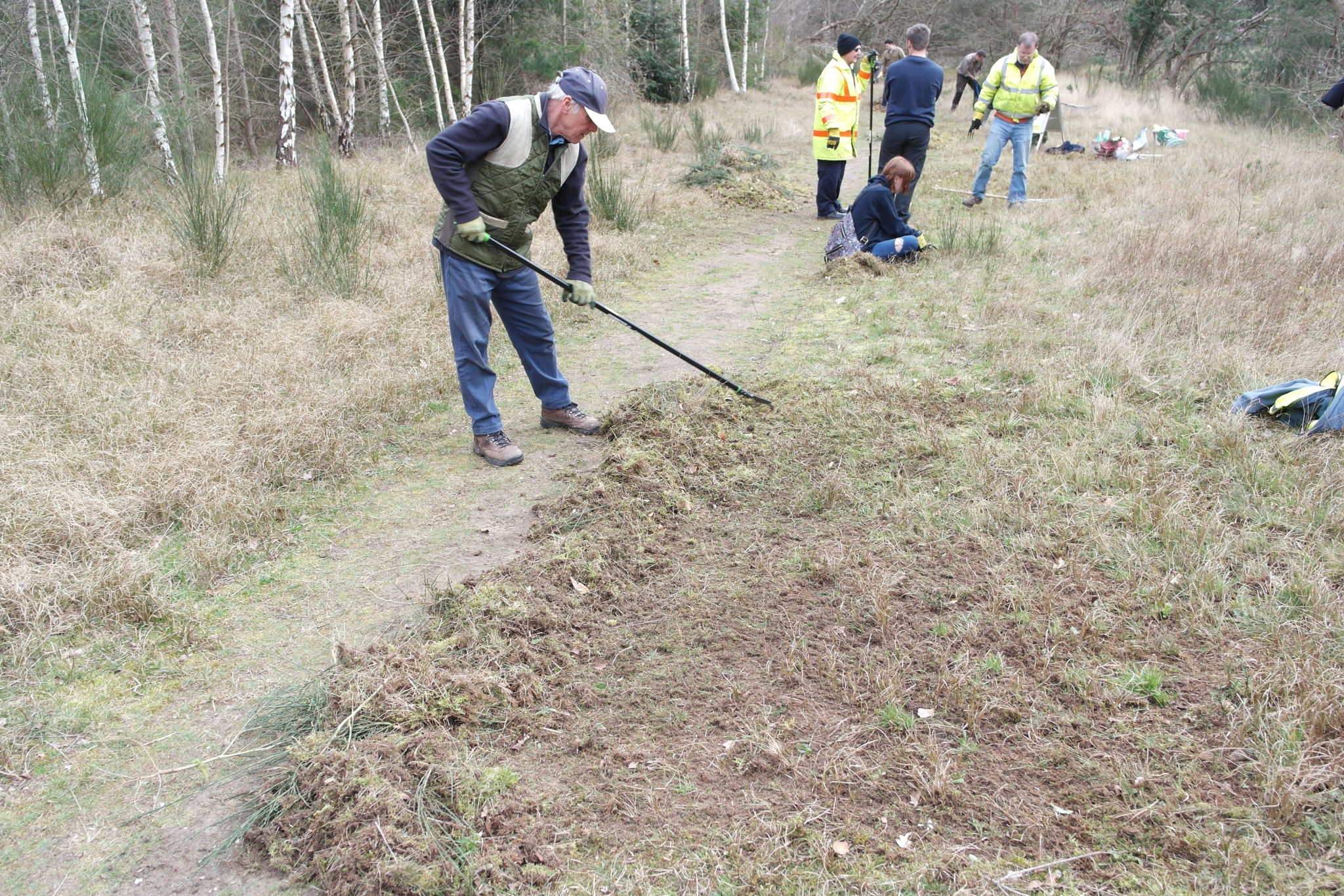 A photo from the FoTF Conservation Event - March 2020 - Habitat Improvement at Quakers Walk, Mildenhall Woods : A rare Breckland Thyme plant