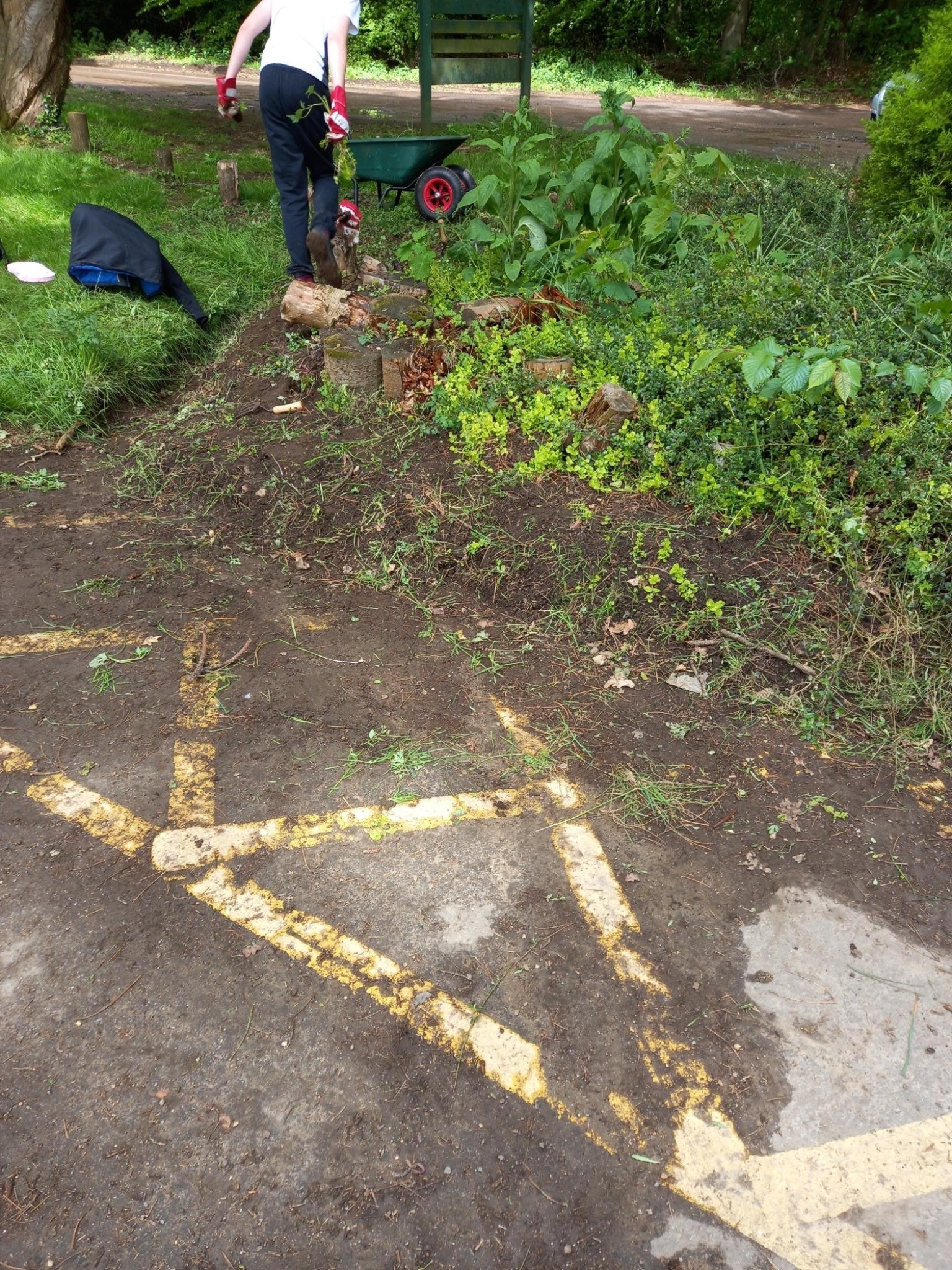 A photo from the FoTF Conservation Event - May 2021 - Maintenance Tasks at Lynford Arboretum