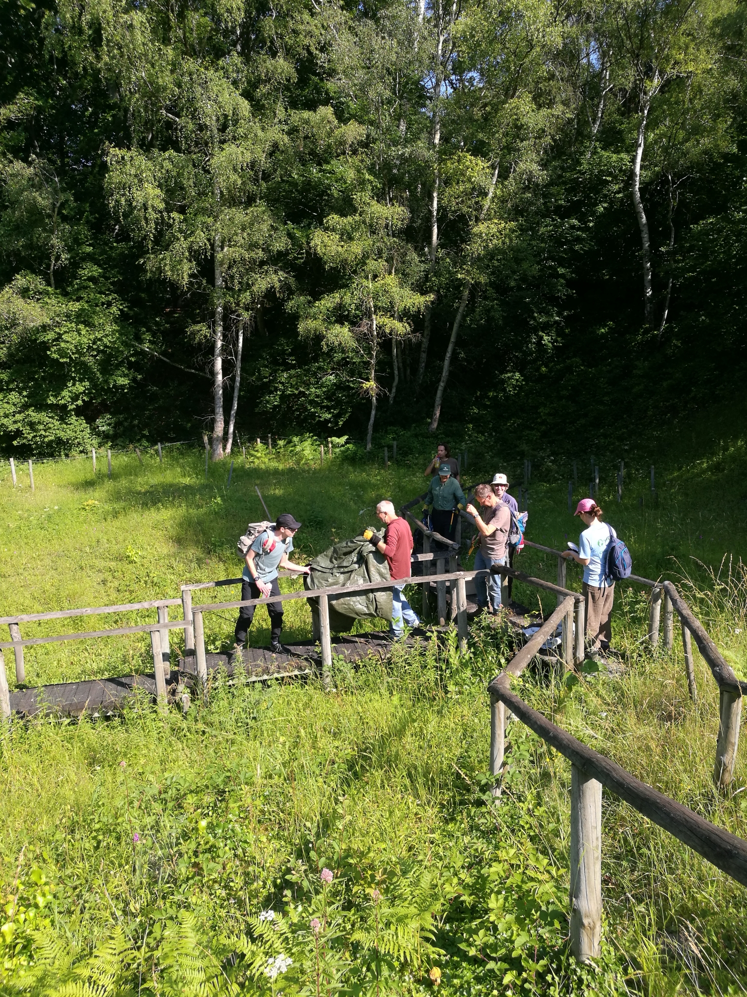 A photo from the FoTF Conservation Event - July 2021 - Maintenance tasks at Rex Graham Reserve : Volunteers descend into the reserve using the walkway carrying tools
