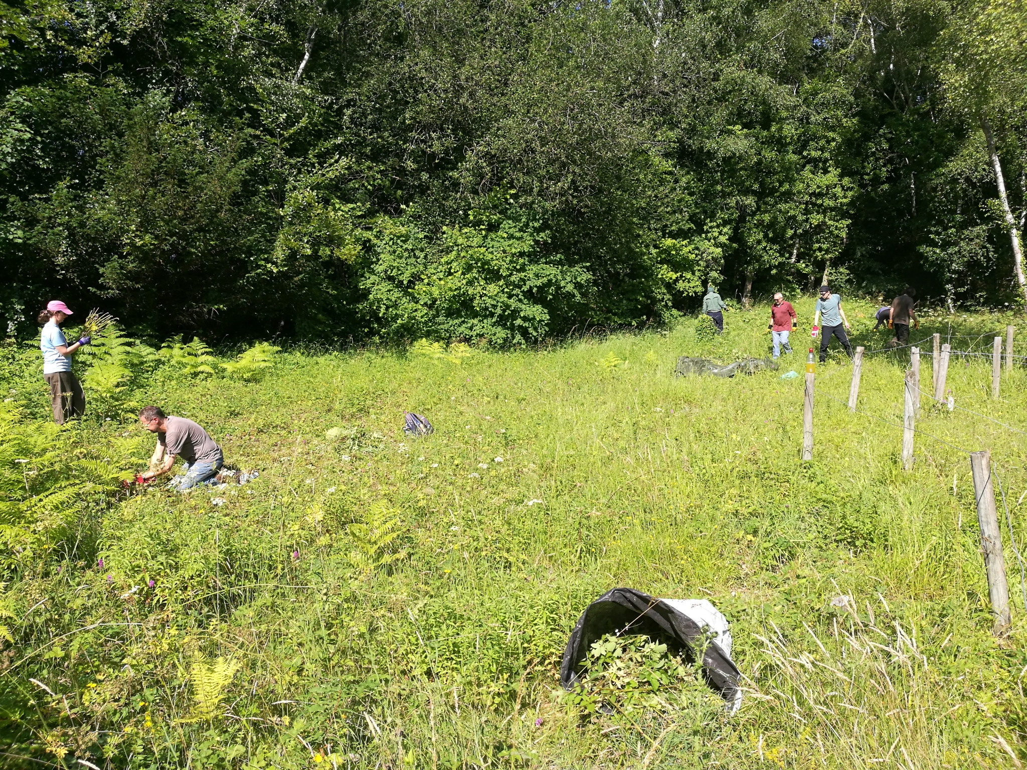A photo from the FoTF Conservation Event - July 2021 - Maintenance tasks at Rex Graham Reserve : A shot from the bottom of the reserve showing volunteers working in the background