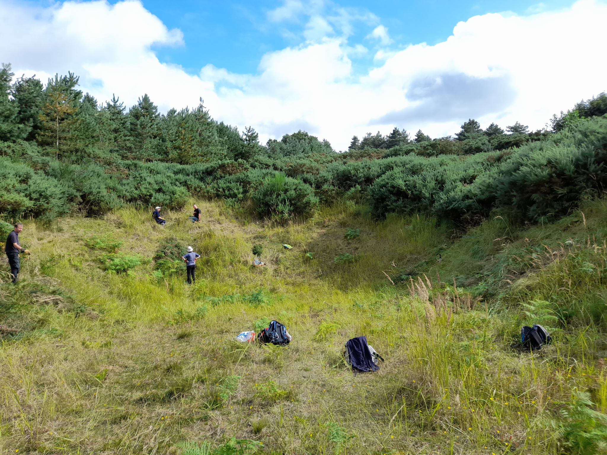 A photo from the FoTF Conservation Event - August 2021 - Maintenance tasks at Mildenhall Mugwort Pit & Mildenhall Warren Lodge : Volunteers work on the slope of the Mugworth pit clearing Gorse and vegetation