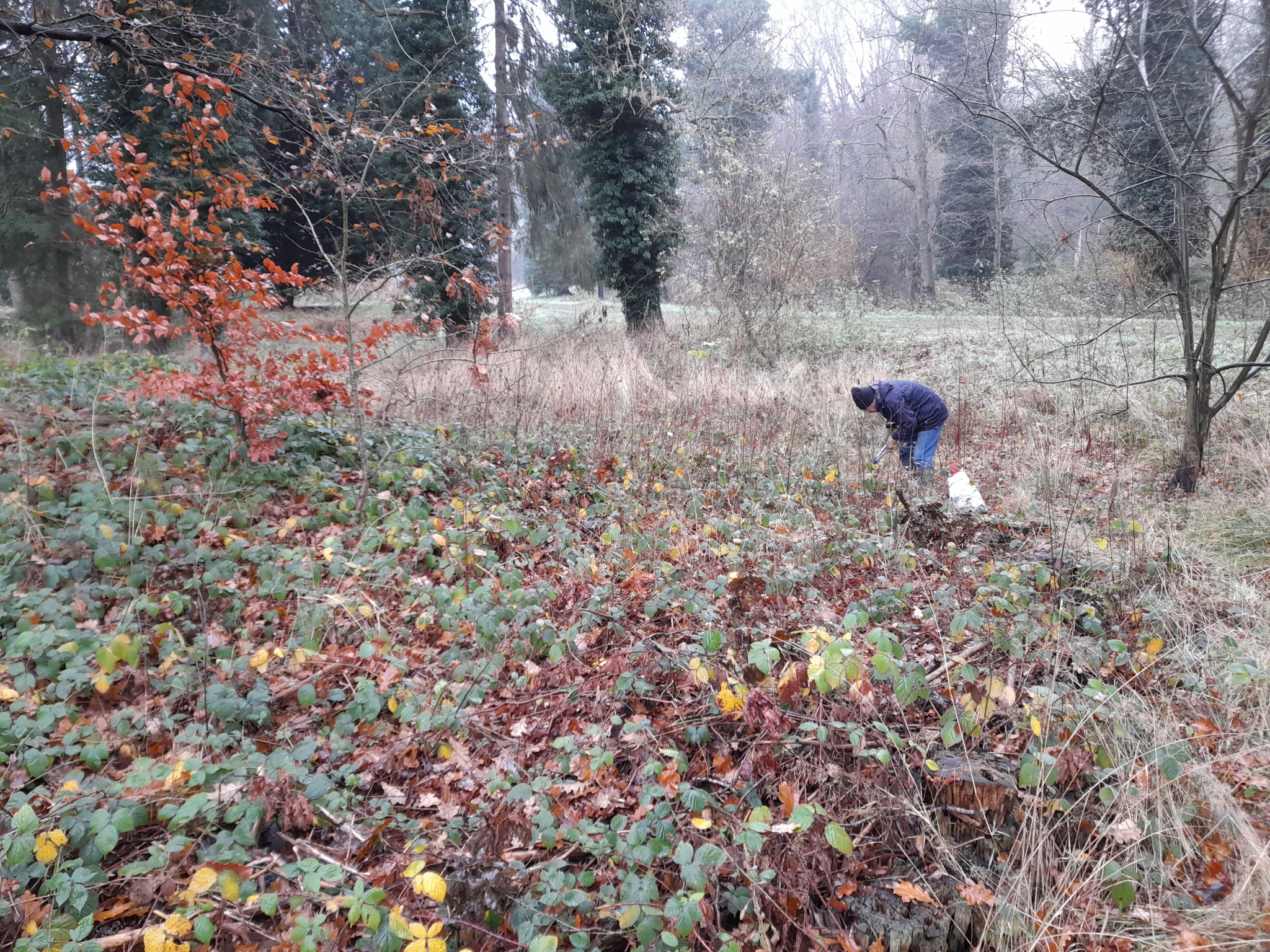 A photo from the FoTF Conservation Event - December 2021 - Self set sapling removal : A volunteer works amongst the scrrub