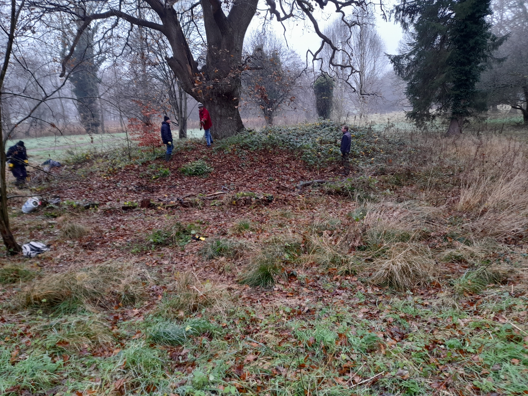 A photo from the FoTF Conservation Event - December 2021 - Self set sapling removal : Volunteers work around a tree, while remaining socially distanced