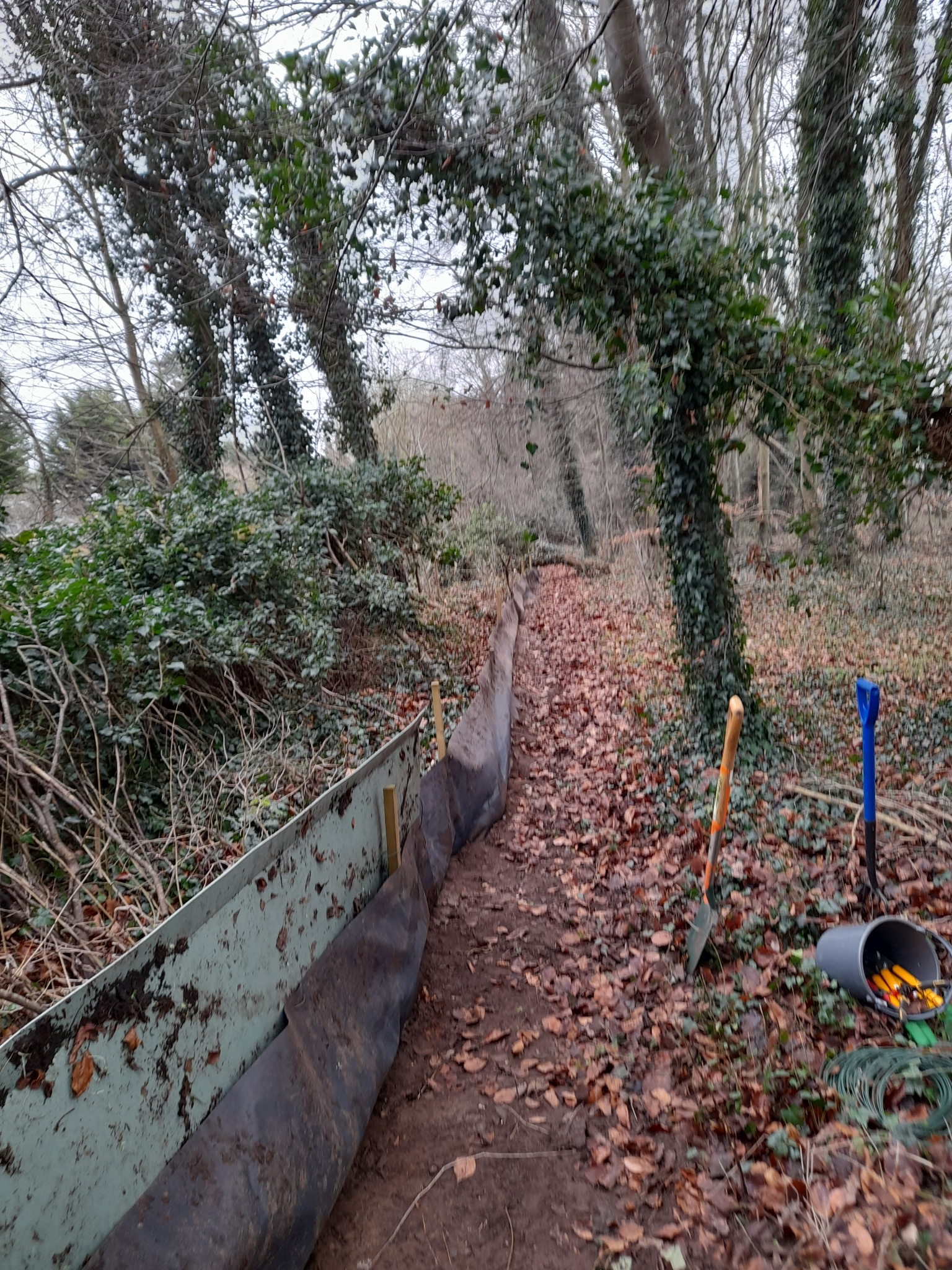 A photo from the FoTF Conservation Event - January 2022 - Erection of toad fence : A section of the toad fence, along with some of the tools required to erect the fence