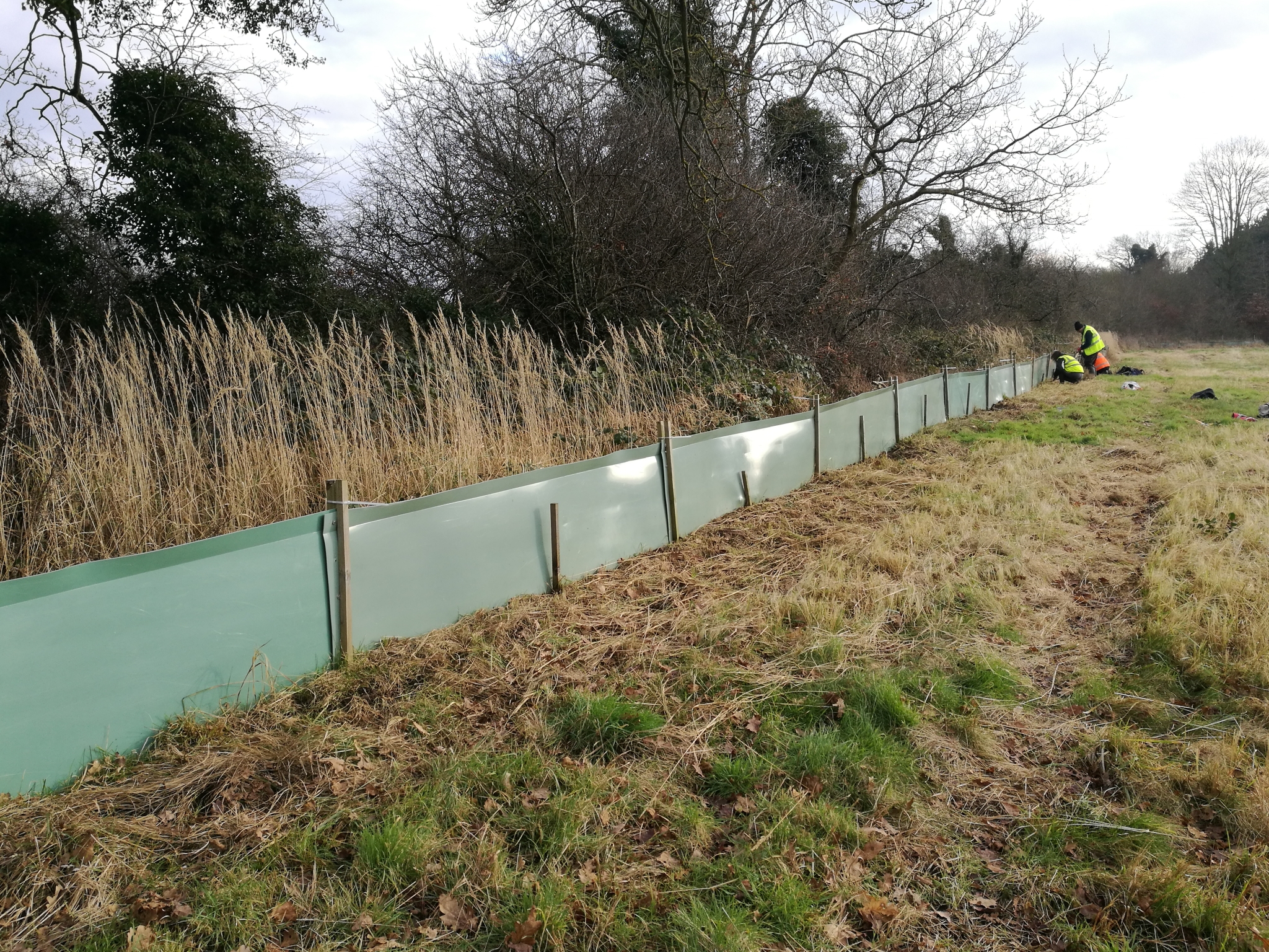 A photo from the FoTF Conservation Event - January 2022 - Erection of toad fence : A section of the toad fence, with volunteers working in the background