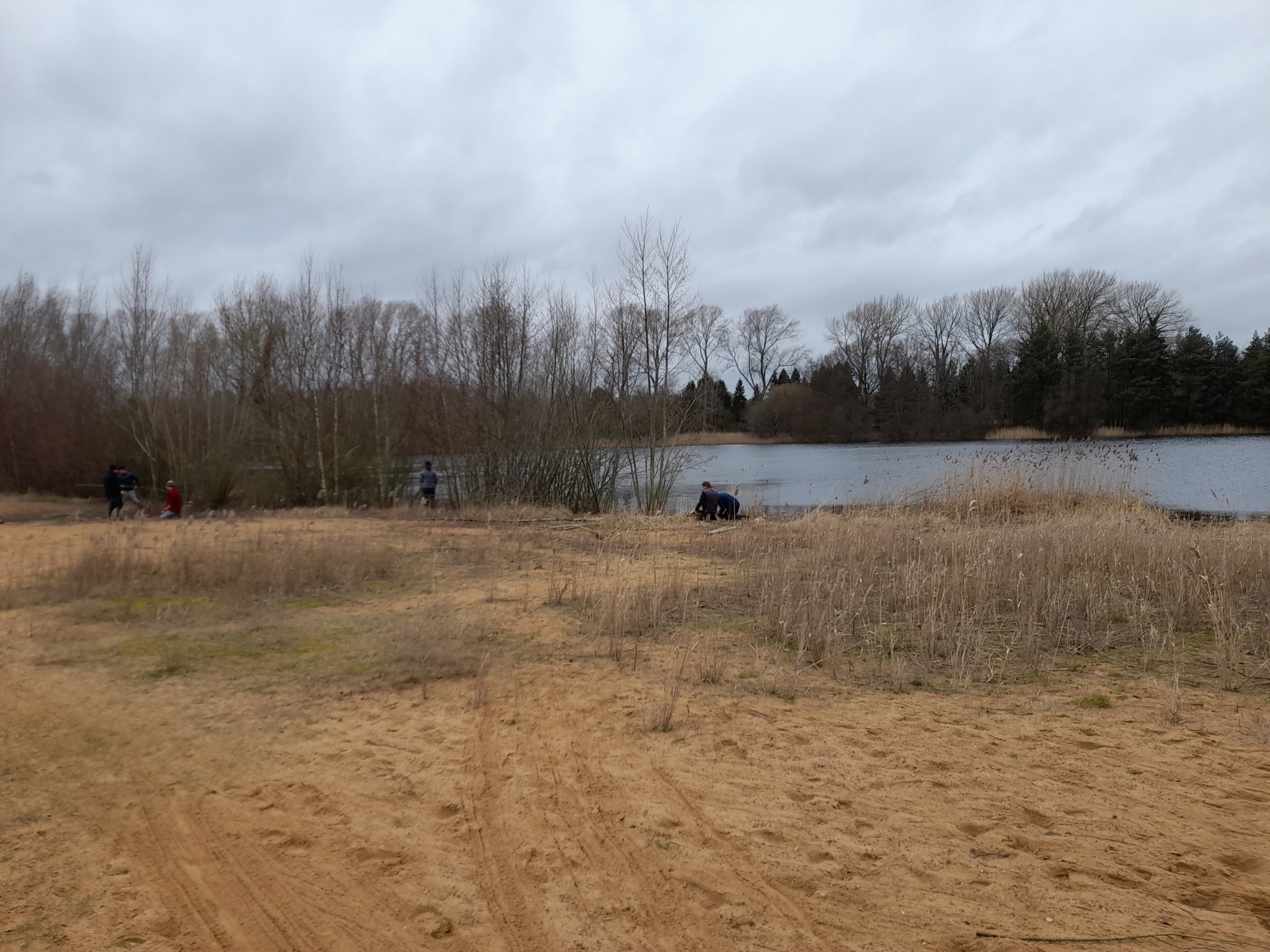 A photo from the FoTF Conservation Event - February 2022 - Clearing overgrowth at Lynford Water : A view from the waters edge onto Lyndord Water with volunteers working in the background