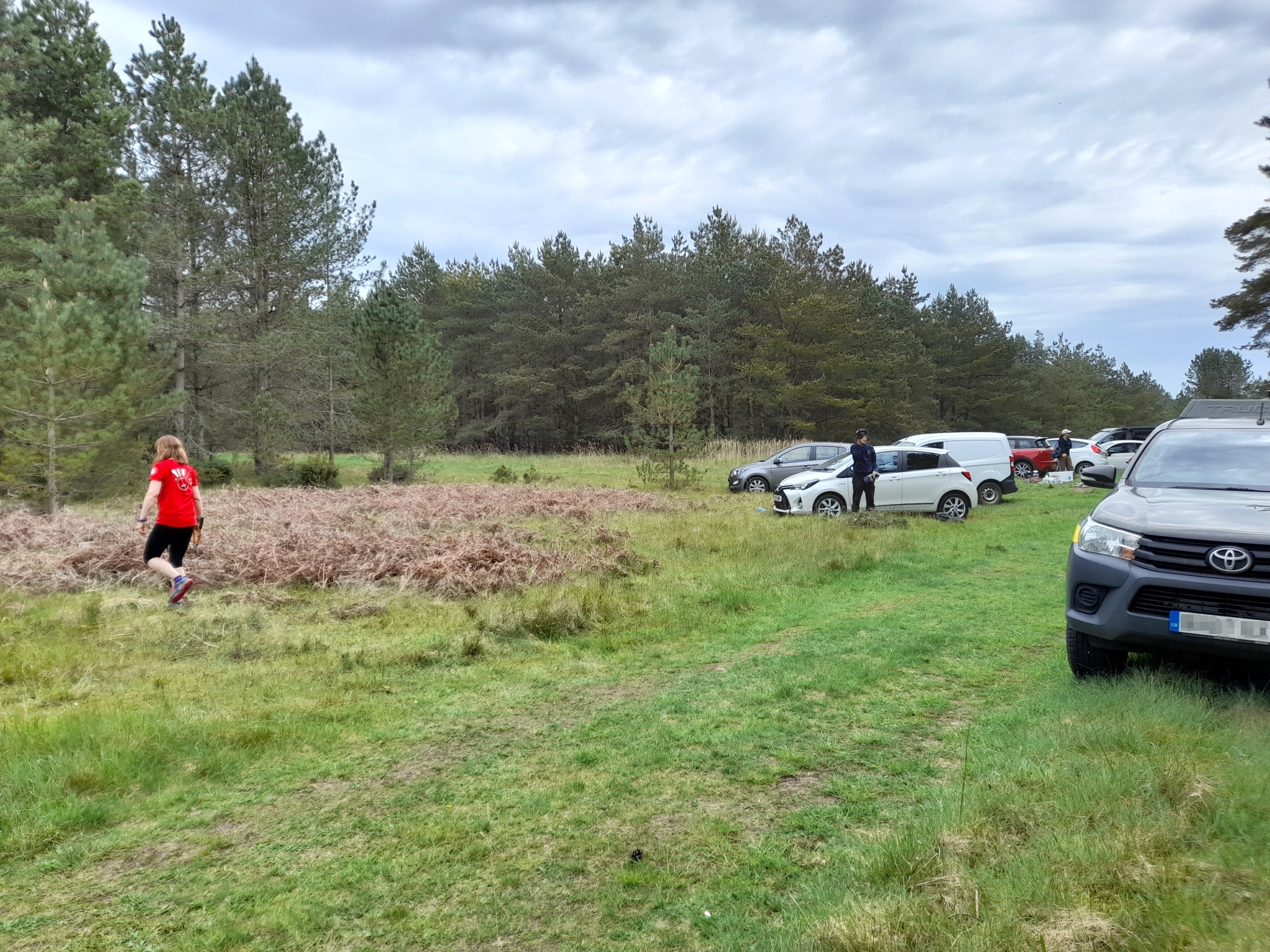 A photo from the FoTF Conservation Event - May 2022 - Self Sown Fir Removal at Kings Forest : A volunteer walks over to the work area