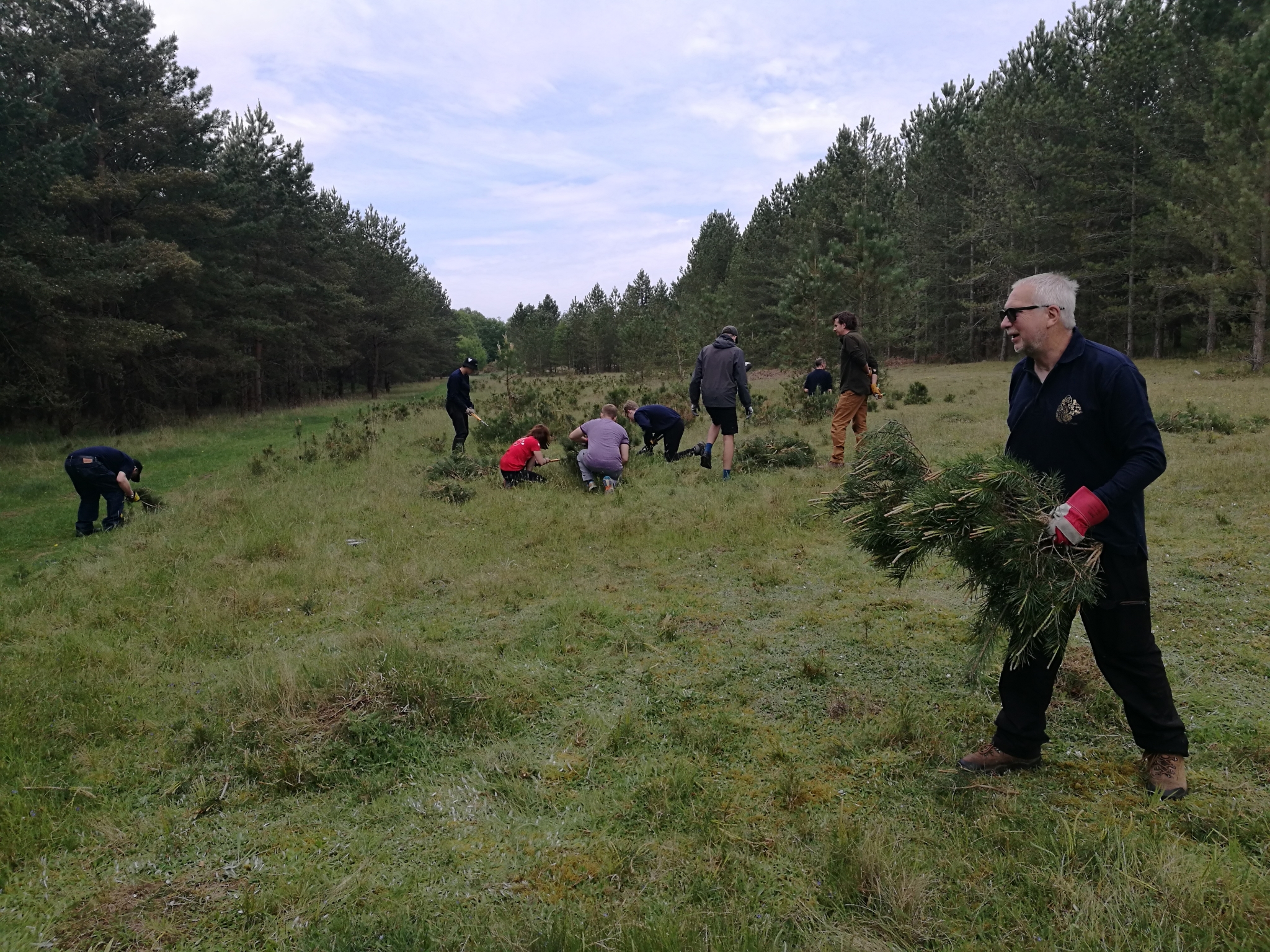 A photo from the FoTF Conservation Event - May 2022 - Self Sown Fir Removal at Kings Forest : Volunteers work on the slope of the pit