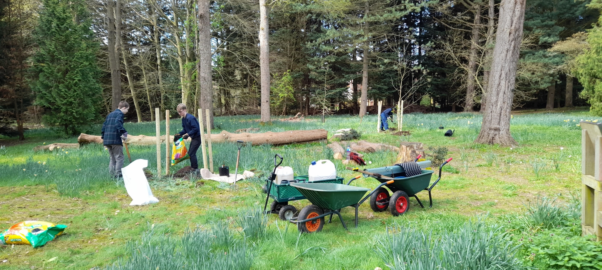 A photo from the FoTF Conservation Event - April 2023 - Tree Planting at Lynford Arboretum : Two volunteers prepare a hole dug for a tree