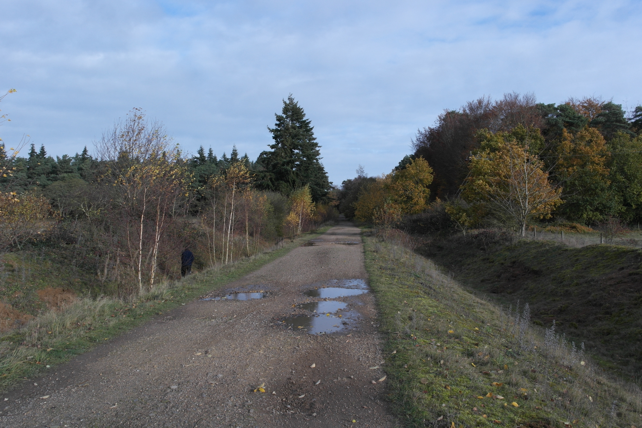 A photo from the FoTF Conservation Event - November 2023 - Scrub Removal at Cranwich Camp, Cranwich : A shot looking down one of the ditches running alongisde the track the volunteers cleared