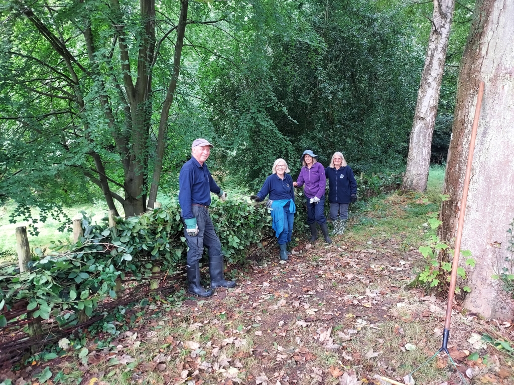 A photo from the FoTF Lynford Arboretum Group